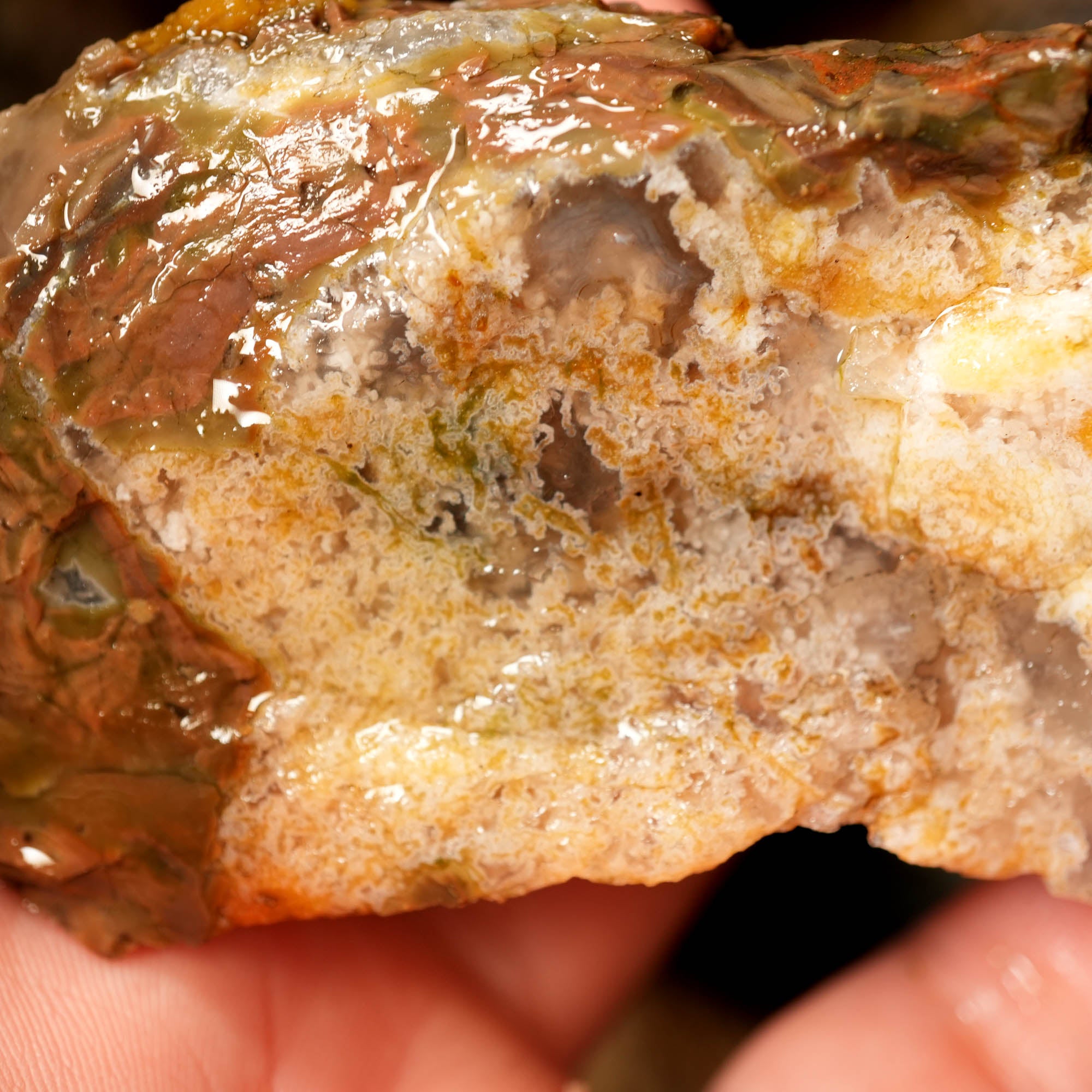 Mix Old Stock Oregon Thundereggs Rough - Rare Priday Plume Potential #F374-Photo6
