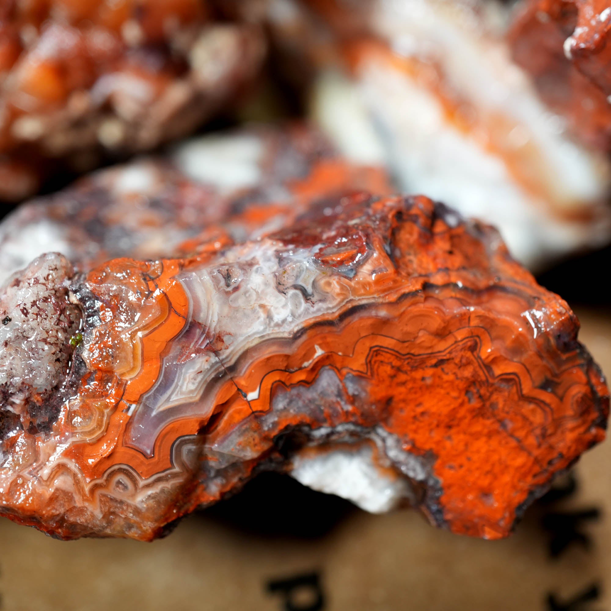 Crazy Lace Agate Tumbling Rough Flatrate - Vibrant Lace and Color