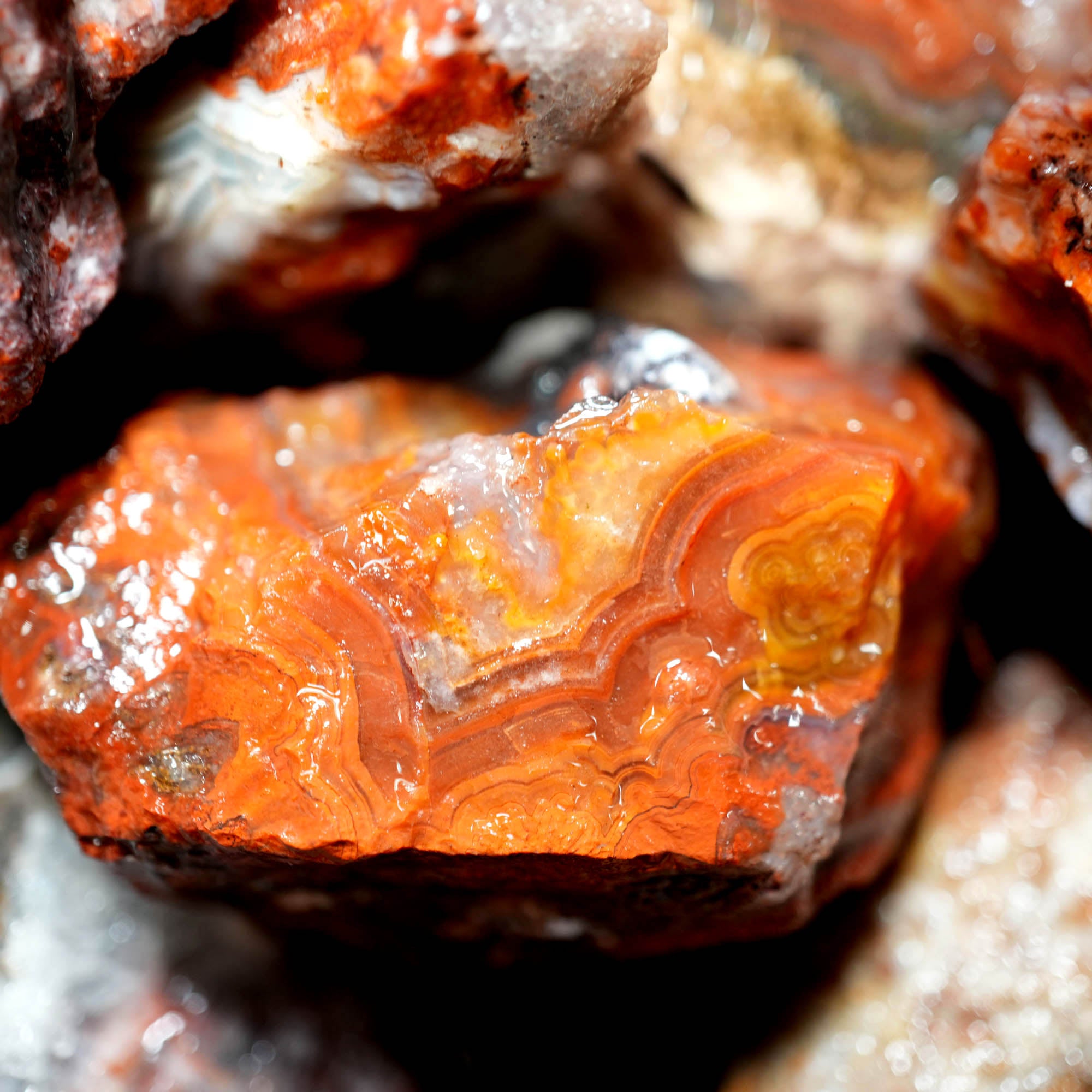 Crazy Lace Agate Tumbling Rough – Vibrant Red Orange Lace Patterns #F375-Photo2