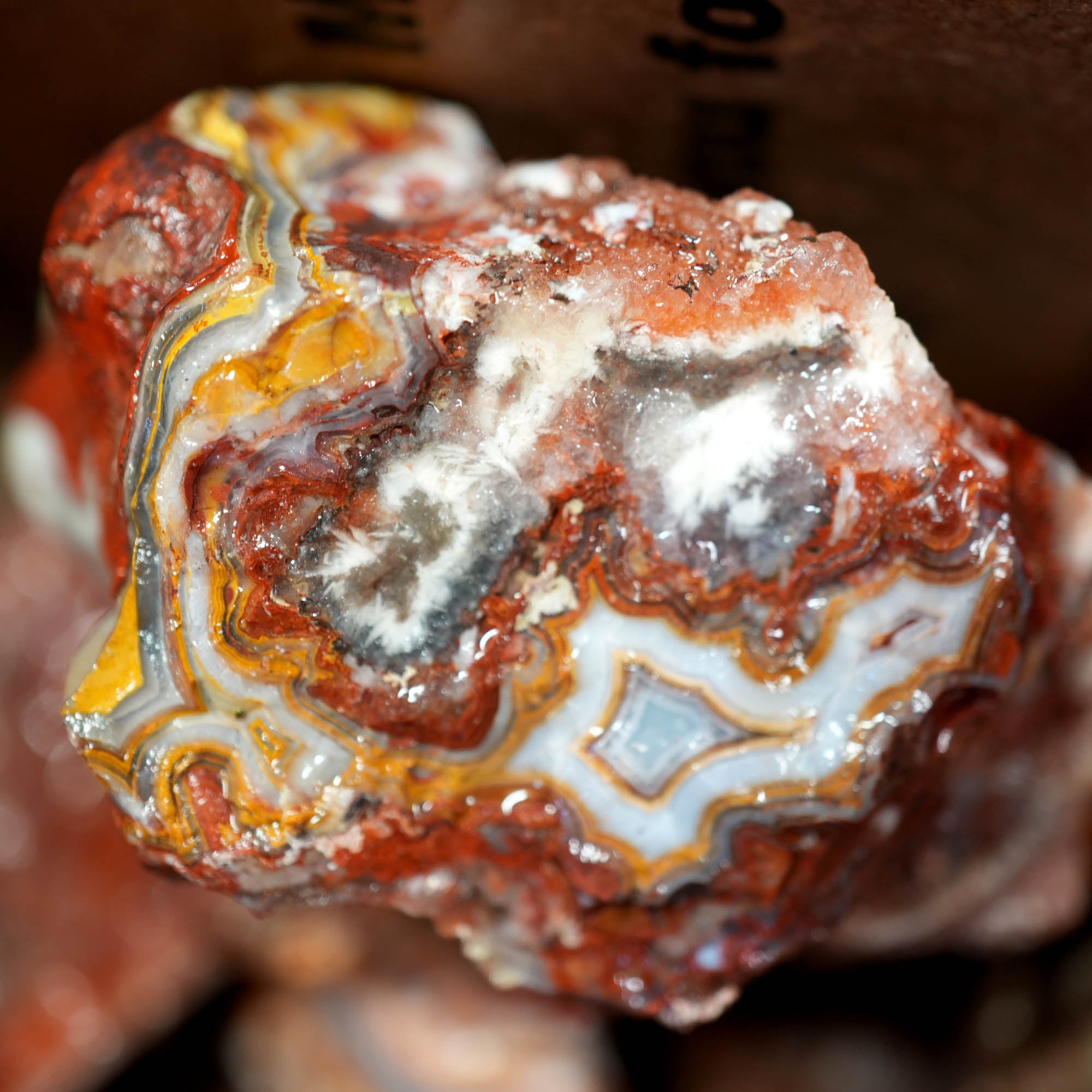 Crazy Lace Agate Tumbling Rough – Vibrant Red Orange Lace Patterns #F375-Photo3