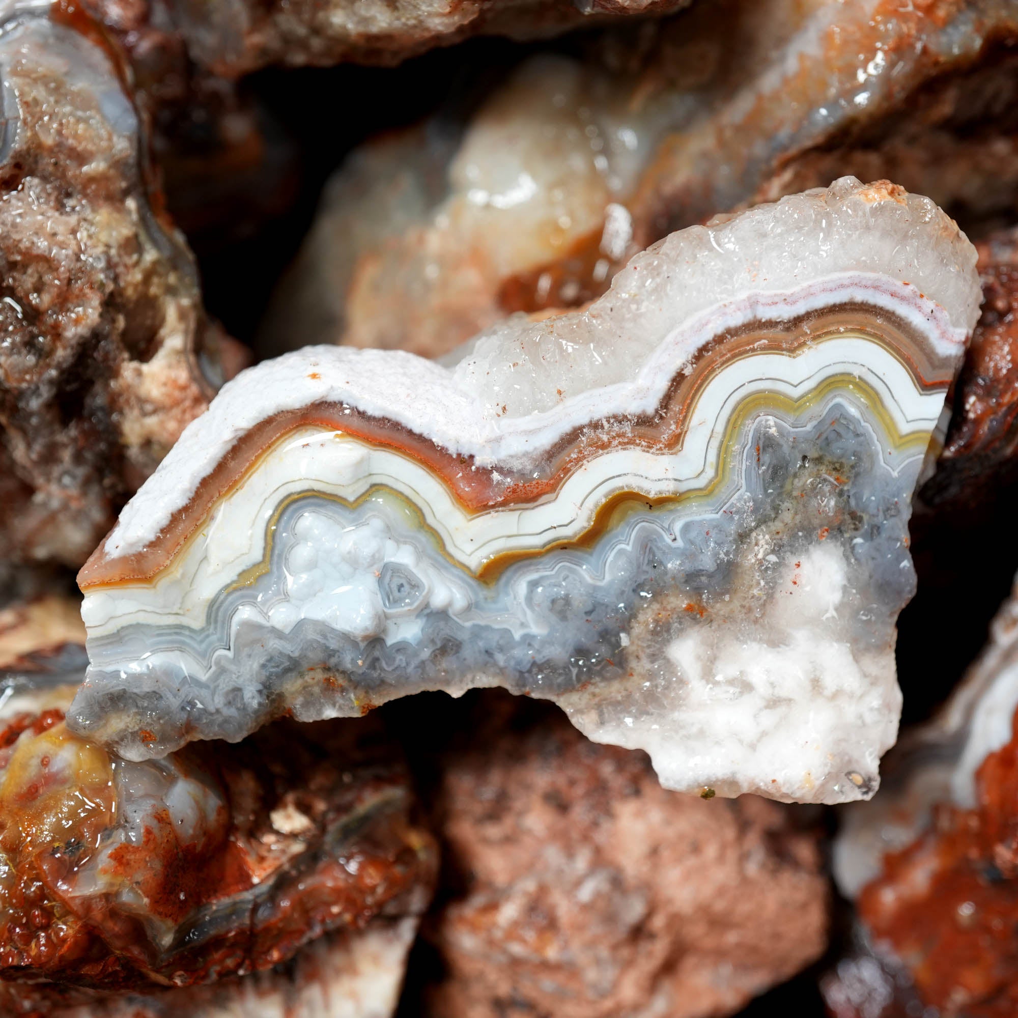 Crazy Lace Agate Tumbling Rough – Vibrant Red Orange Lace Patterns #F375-Photo4