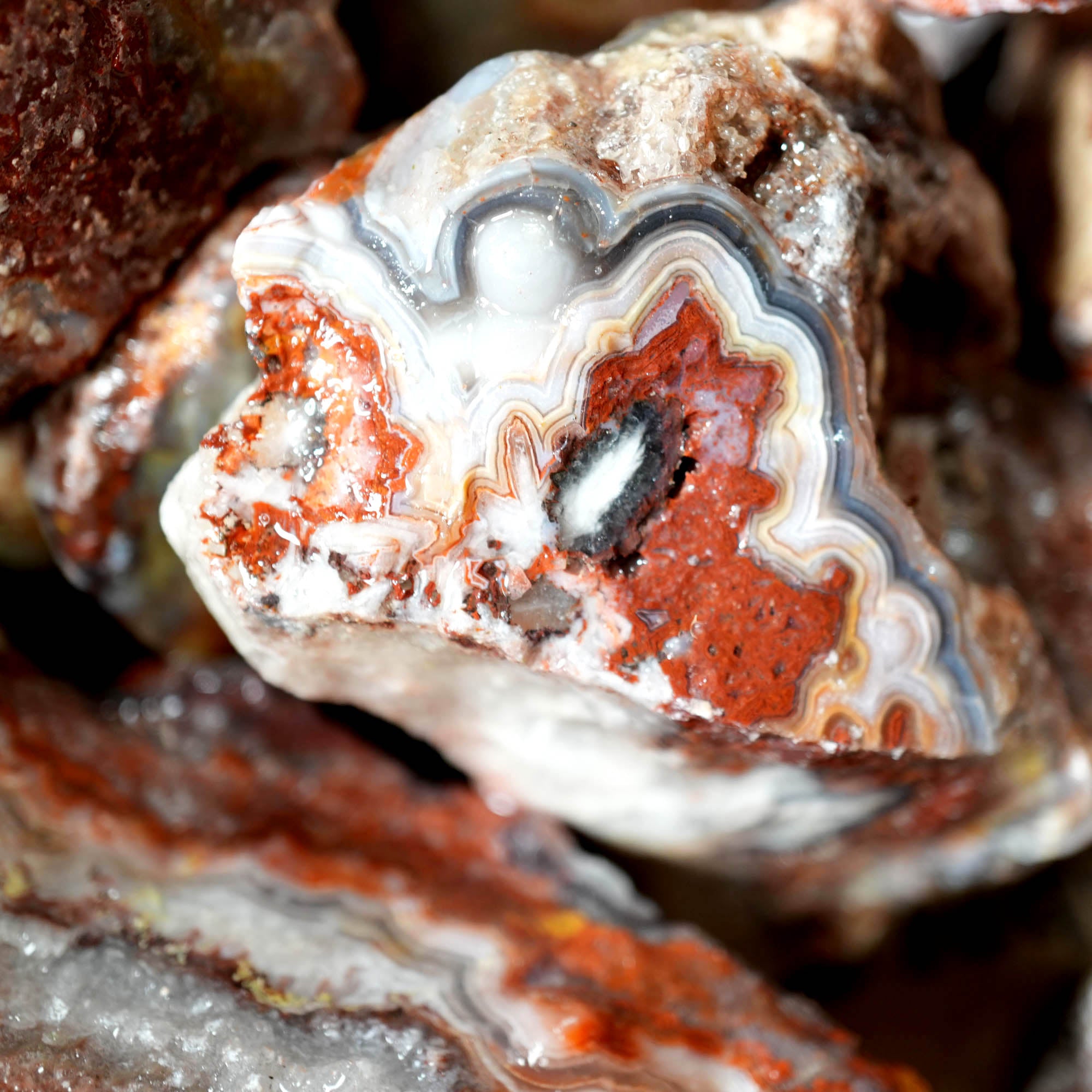 Crazy Lace Agate Tumbling Rough – Vibrant Red Orange Lace Patterns #F375-Photo5