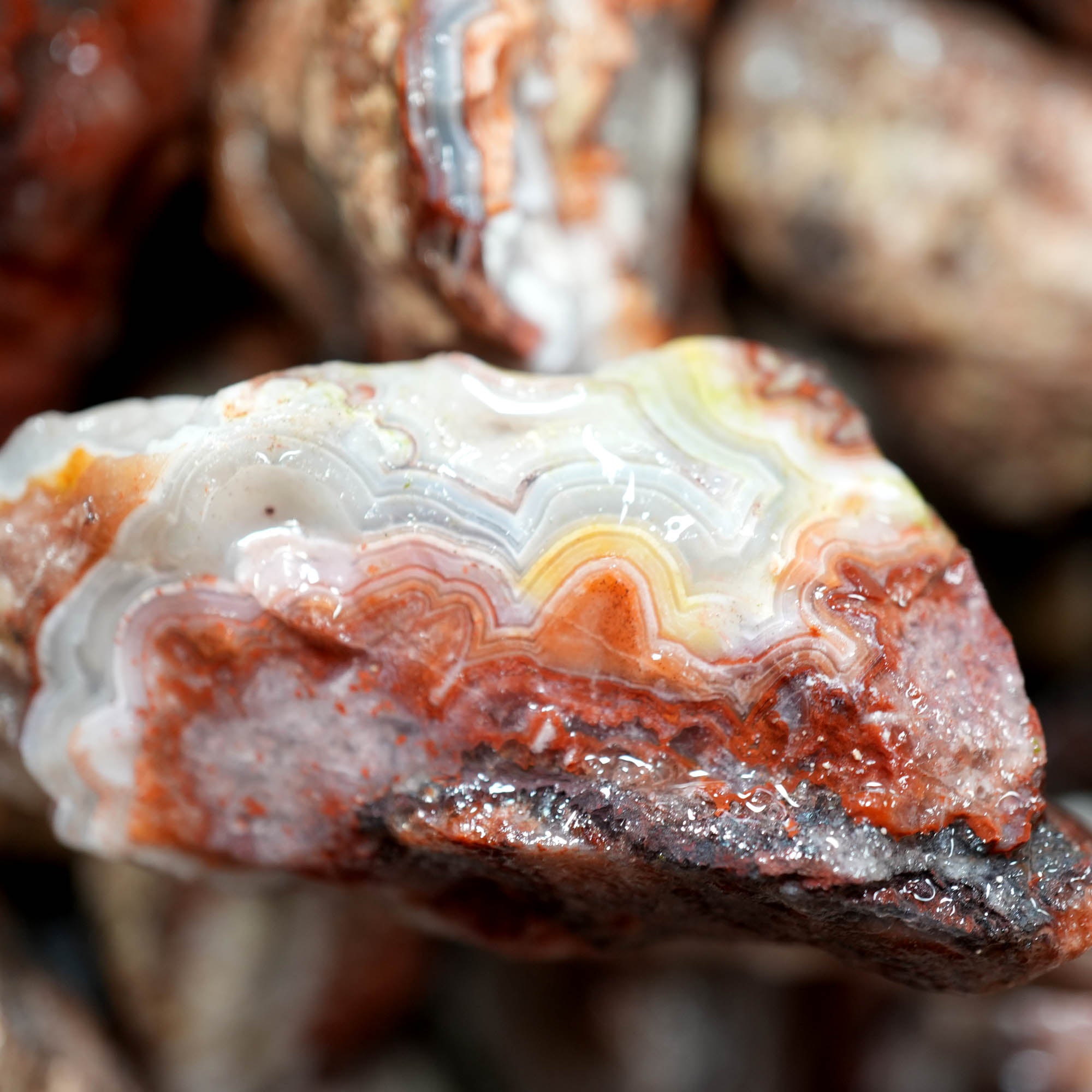 Crazy Lace Agate Tumbling Rough – Vibrant Red Orange Lace Patterns #F375-Photo7