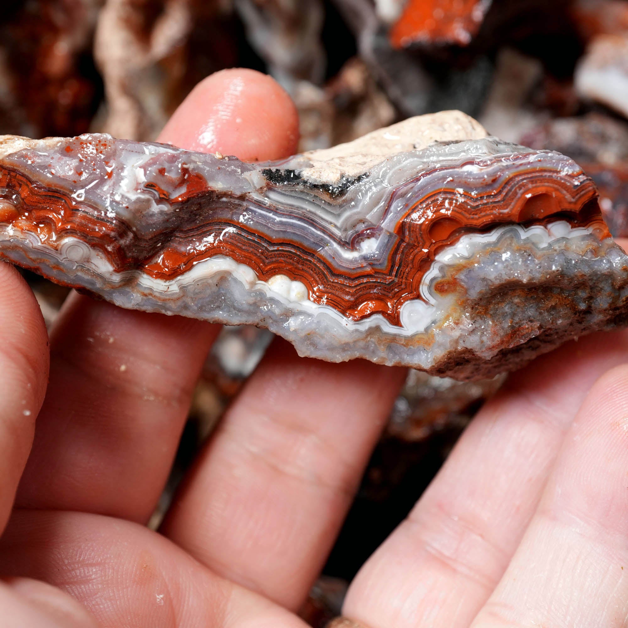 Crazy Lace Agate Tumbling Rough – Vibrant Red Orange Lace Patterns #F375-Photo8