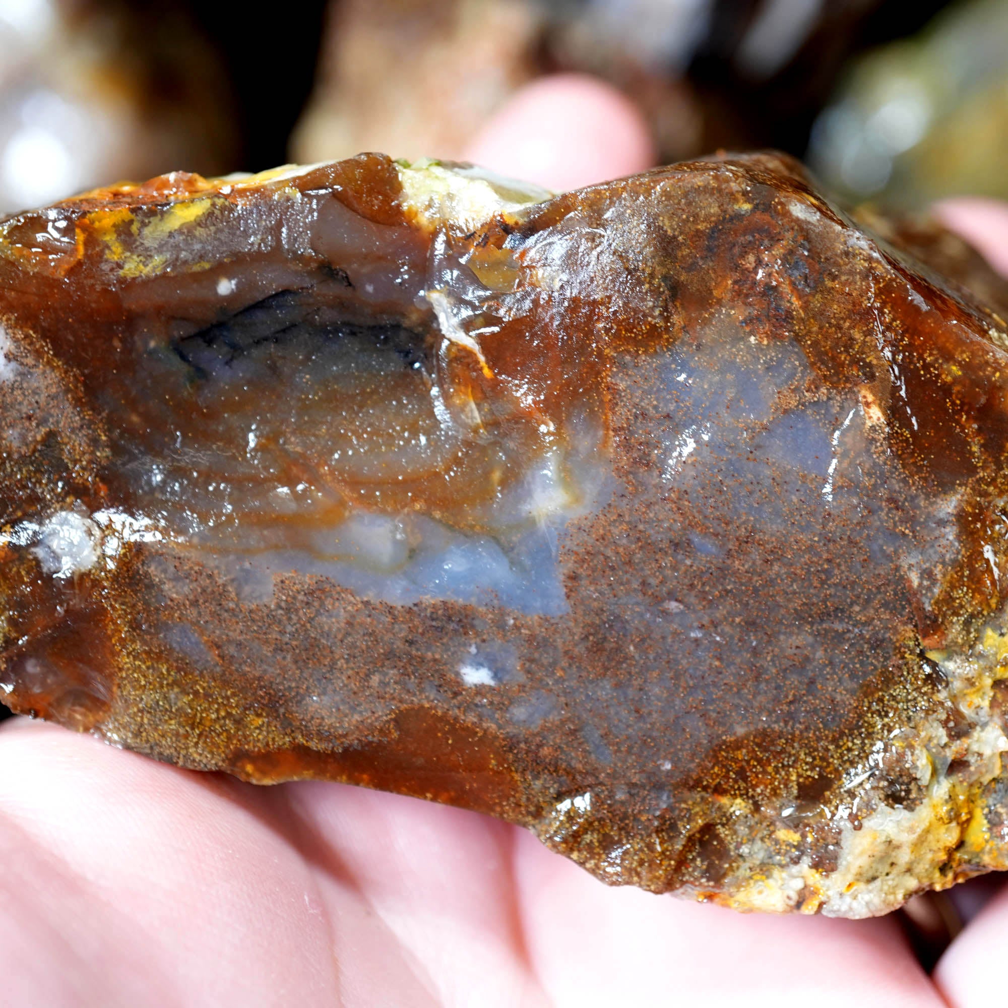 Mix Oregon Flatrate Old Stock Rough - Graveyard Plume Agate Thundereggs #F376-Photo9