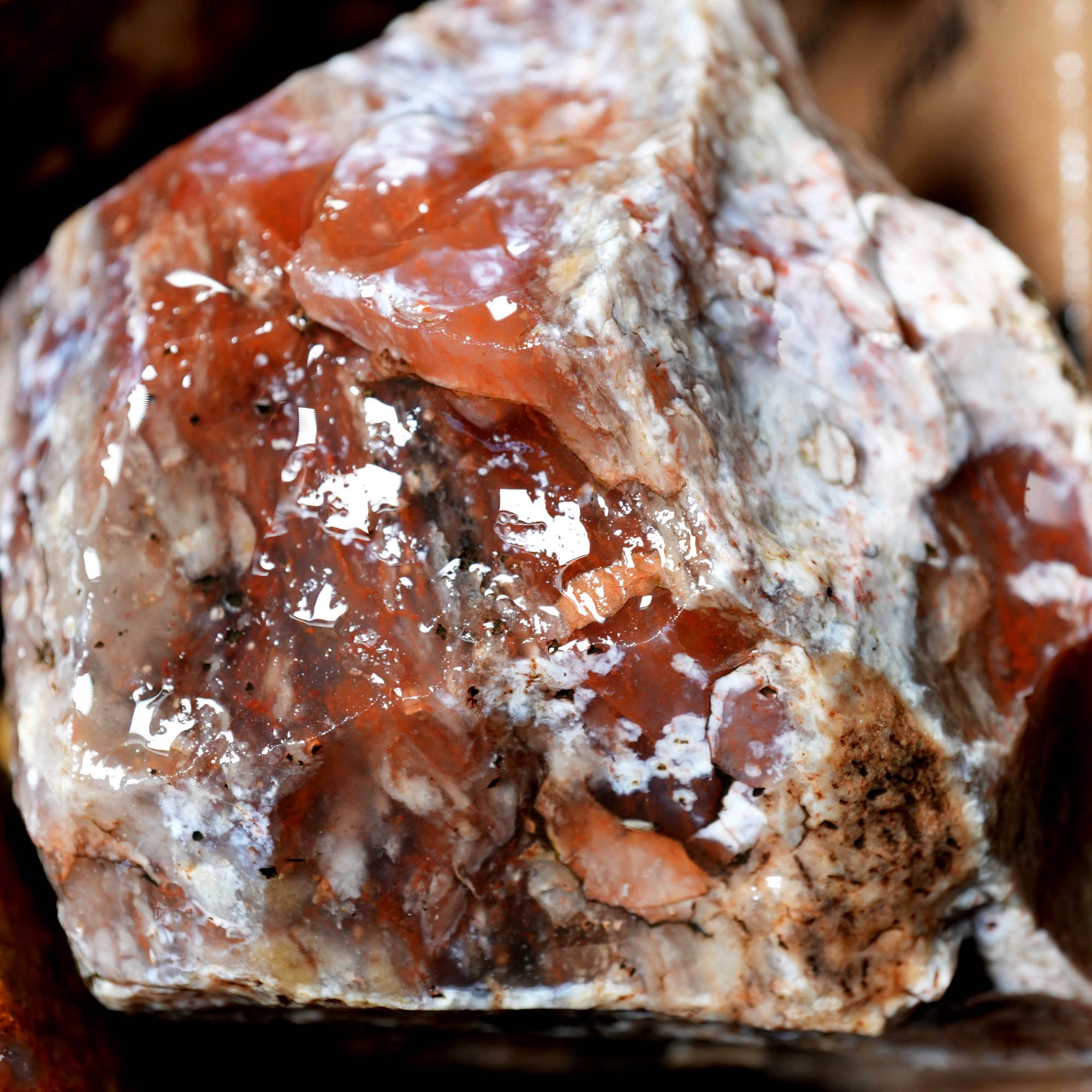 Mix Oregon Flatrate Old Stock Rough - Graveyard Plume Agate Thundereggs #F376-Photo10