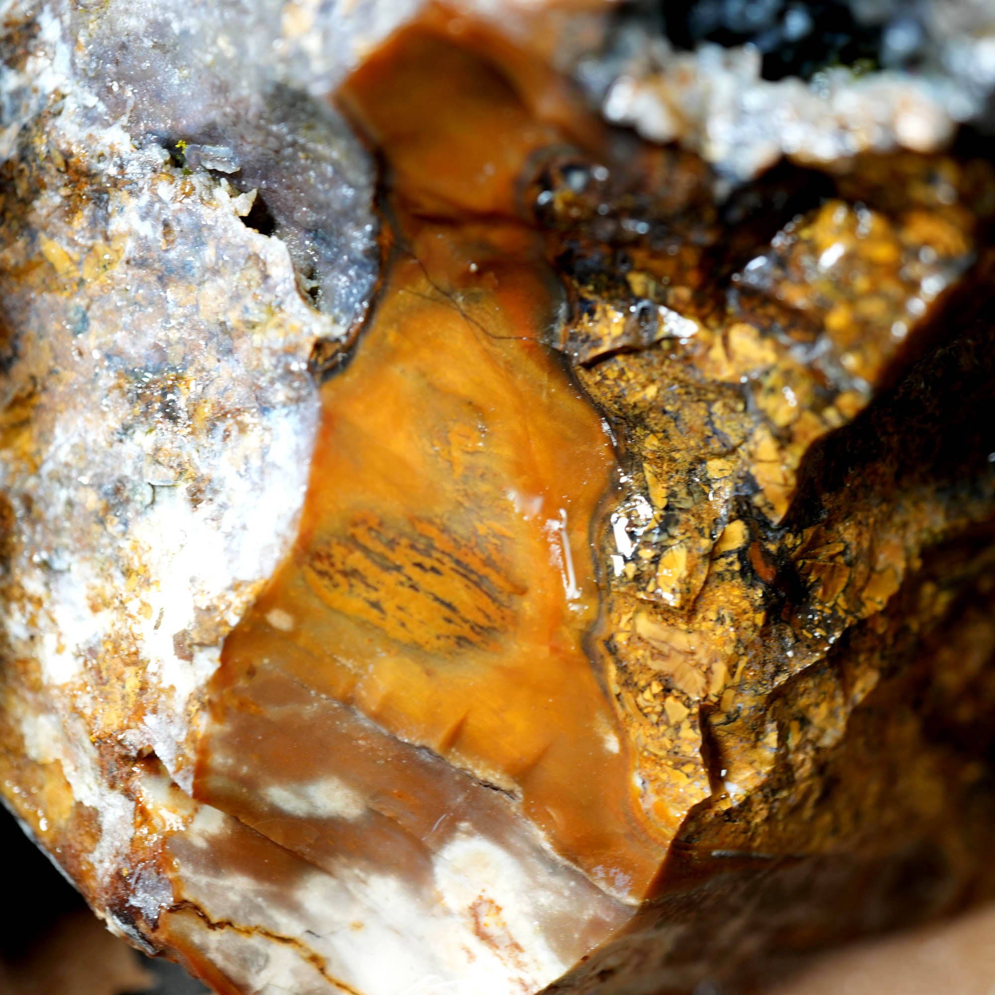 Mix Oregon Flatrate Old Stock Rough - Graveyard Plume Agate Thundereggs #F376-Photo11