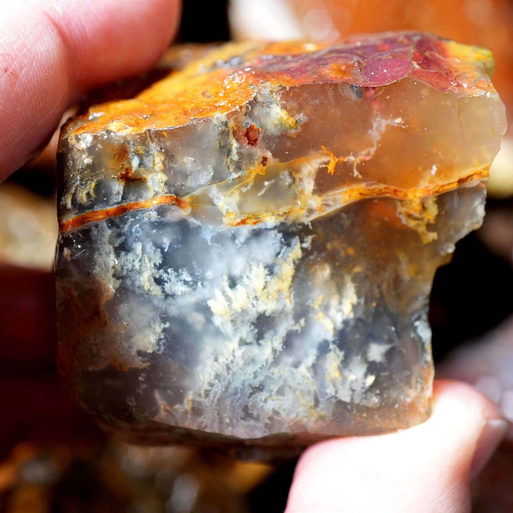 Mix Oregon Flatrate Old Stock Rough - Graveyard Plume Agate Thundereggs #F376-Photo2
