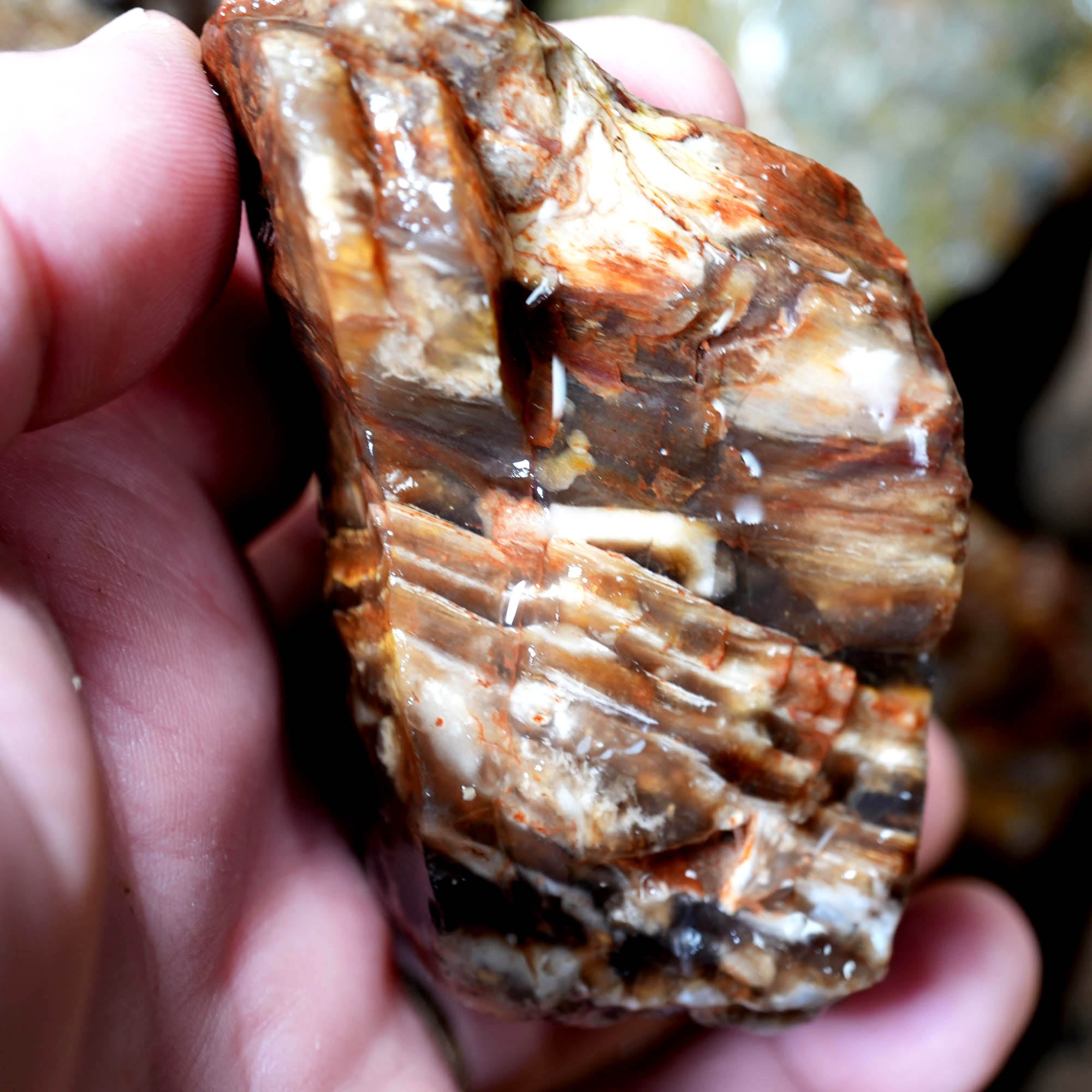 Mix Oregon Flatrate Old Stock Rough - Graveyard Plume Agate Thundereggs #F376-Photo4