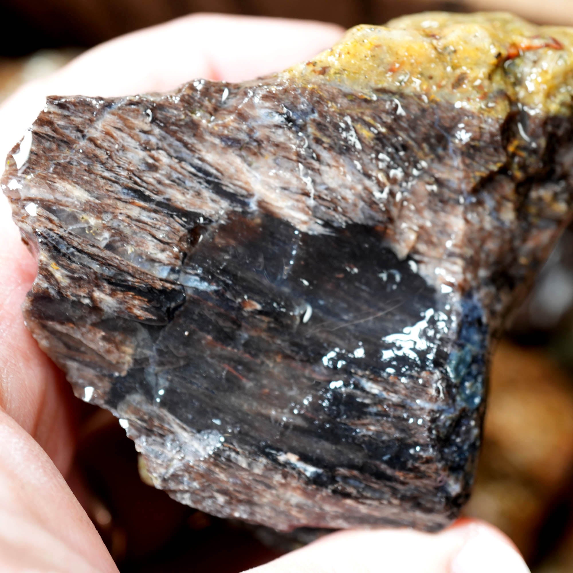Mix Oregon Flatrate Old Stock Rough - Graveyard Plume Agate Thundereggs #F376-Photo7