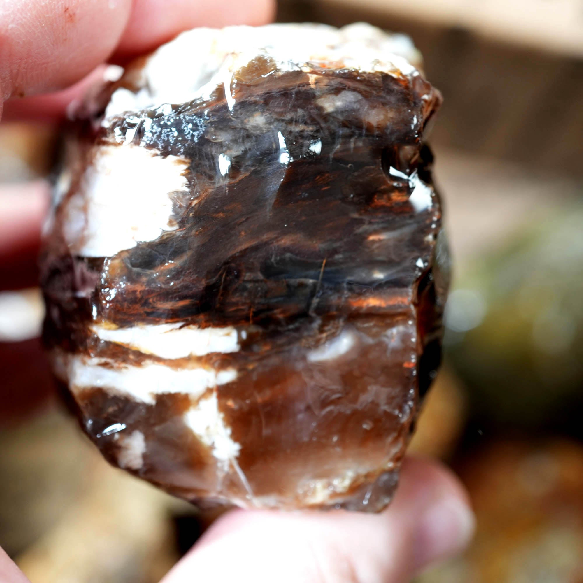 Mix Oregon Flatrate Old Stock Rough - Graveyard Plume Agate Thundereggs #F376-Photo8