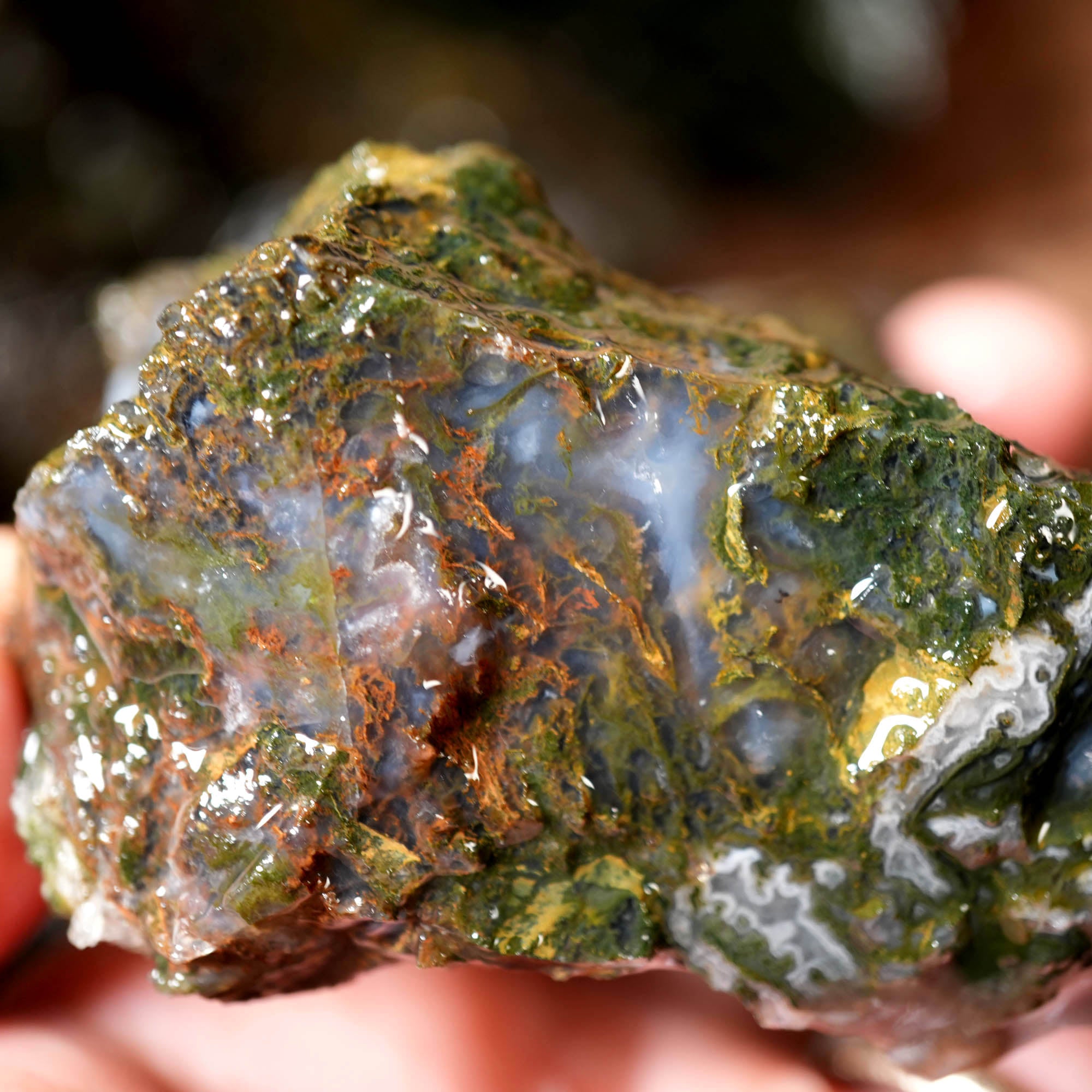 Green Maury Mountain Moss Agate Cutting Rough - Oregon Classic #F377-Photo1