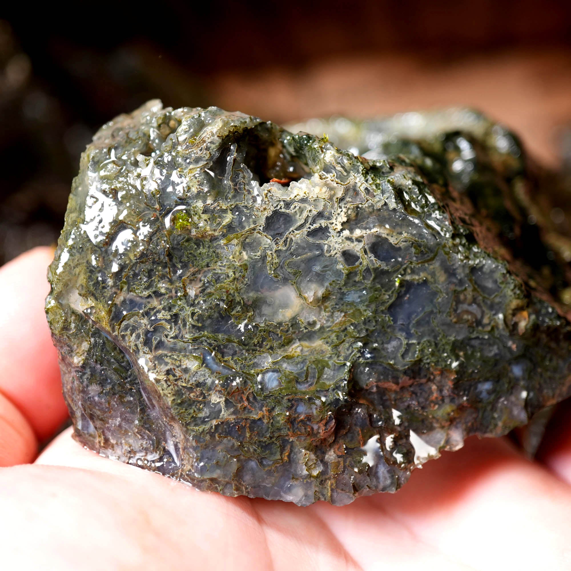 Green Maury Mountain Moss Agate Cutting Rough - Oregon Classic #F377-Photo2