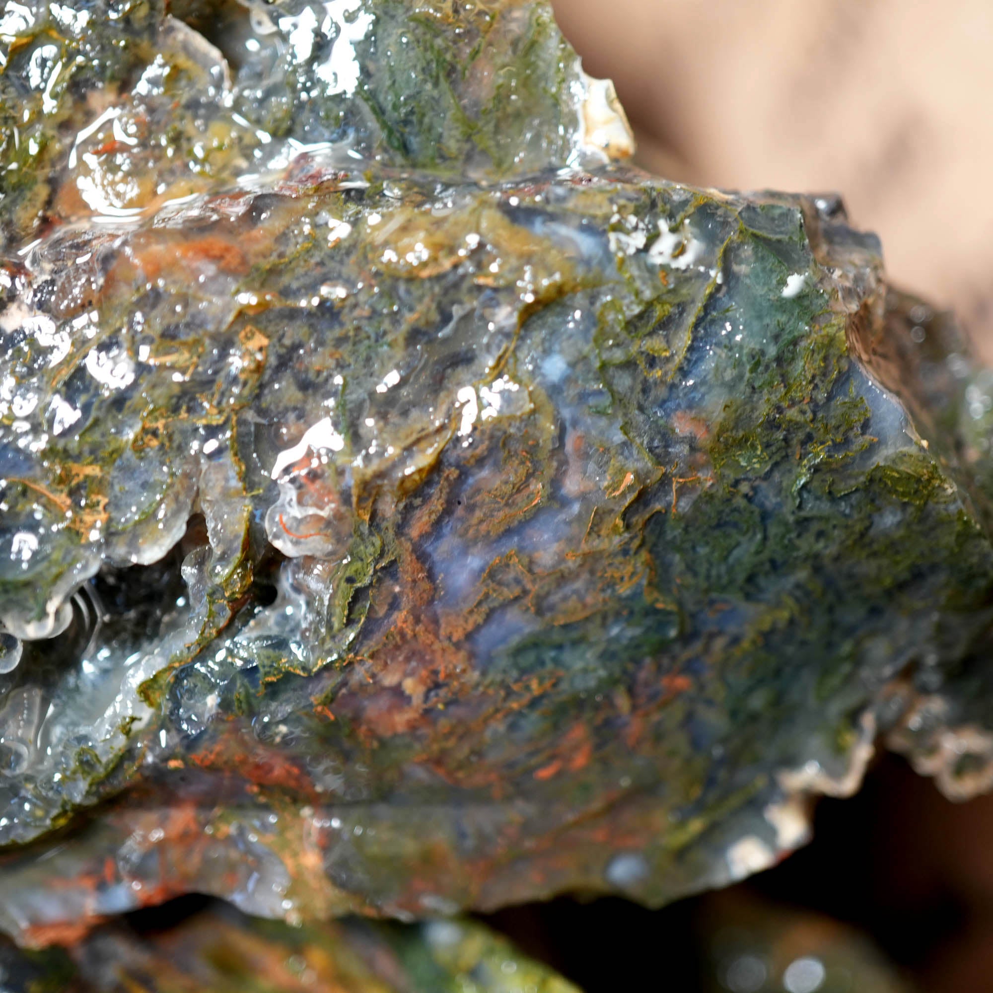 Green Maury Mountain Moss Agate Cutting Rough - Oregon Classic #F377-Photo3