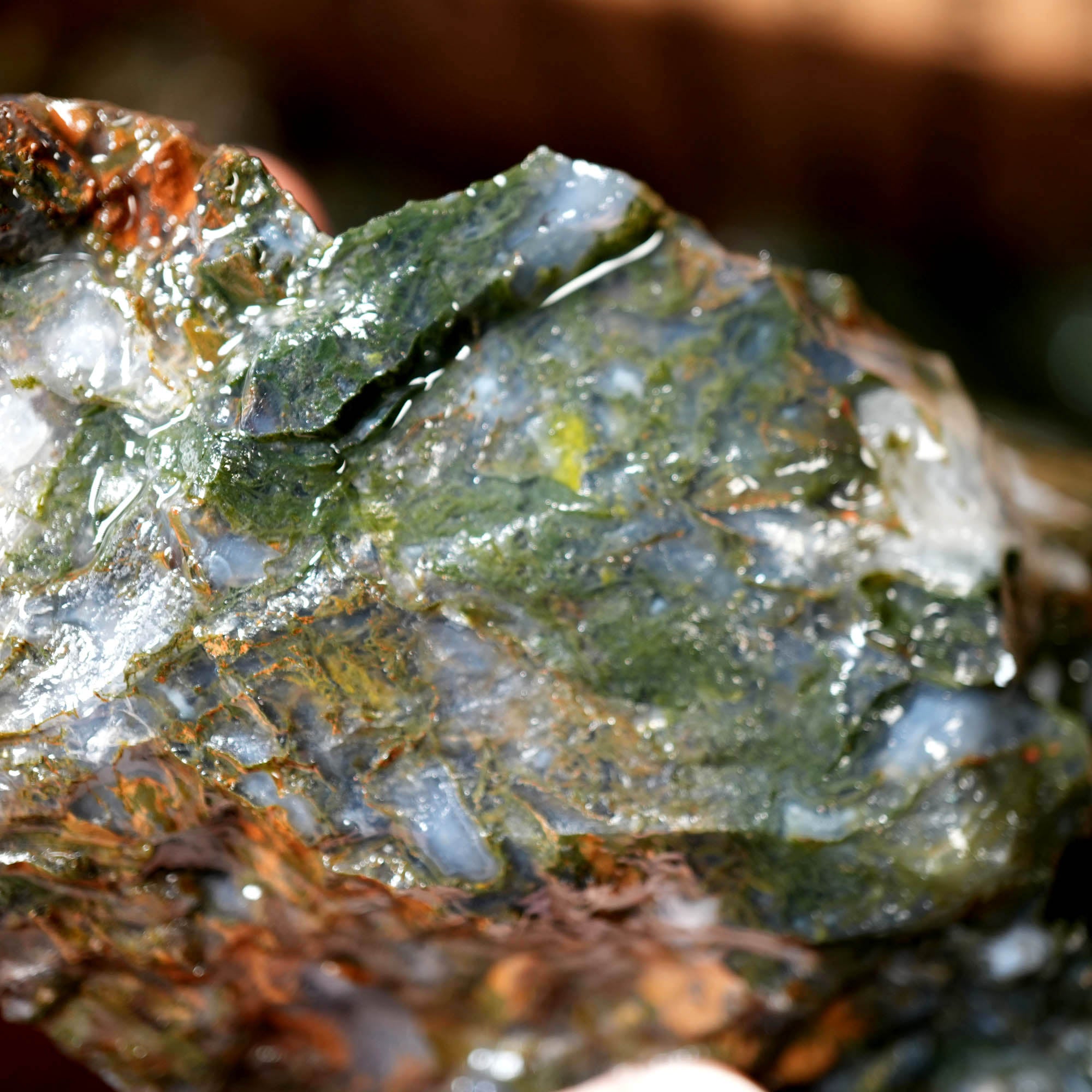 Green Maury Mountain Moss Agate Cutting Rough - Oregon Classic #F377-Photo5