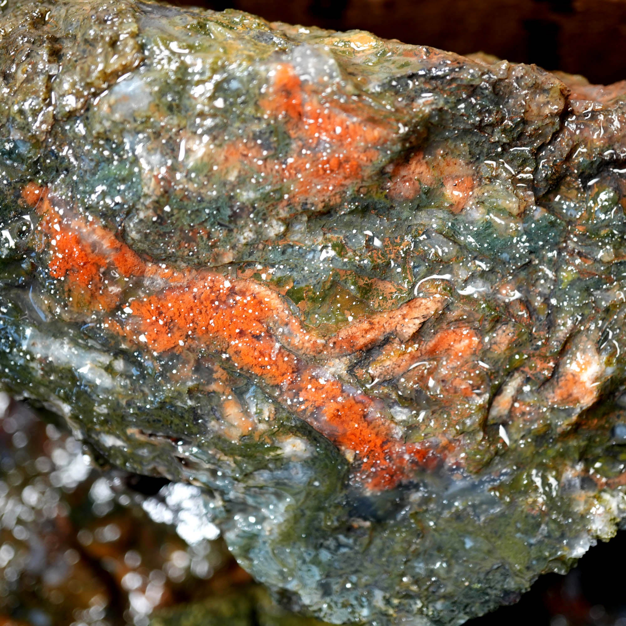Green Maury Mountain Moss Agate Cutting Rough - Oregon Classic #F377-Photo6