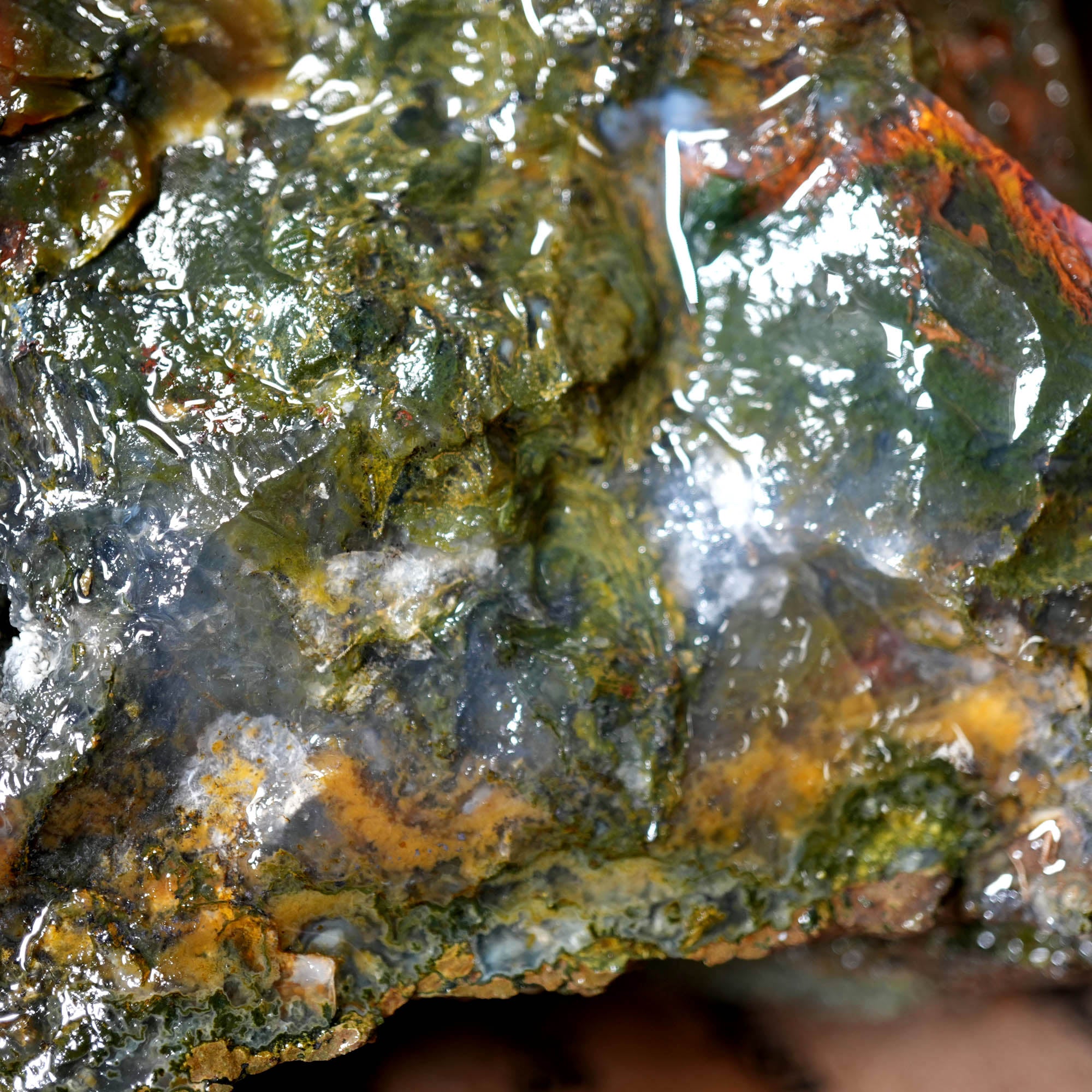 Green Maury Mountain Moss Agate Cutting Rough - Oregon Classic #F377-Photo8