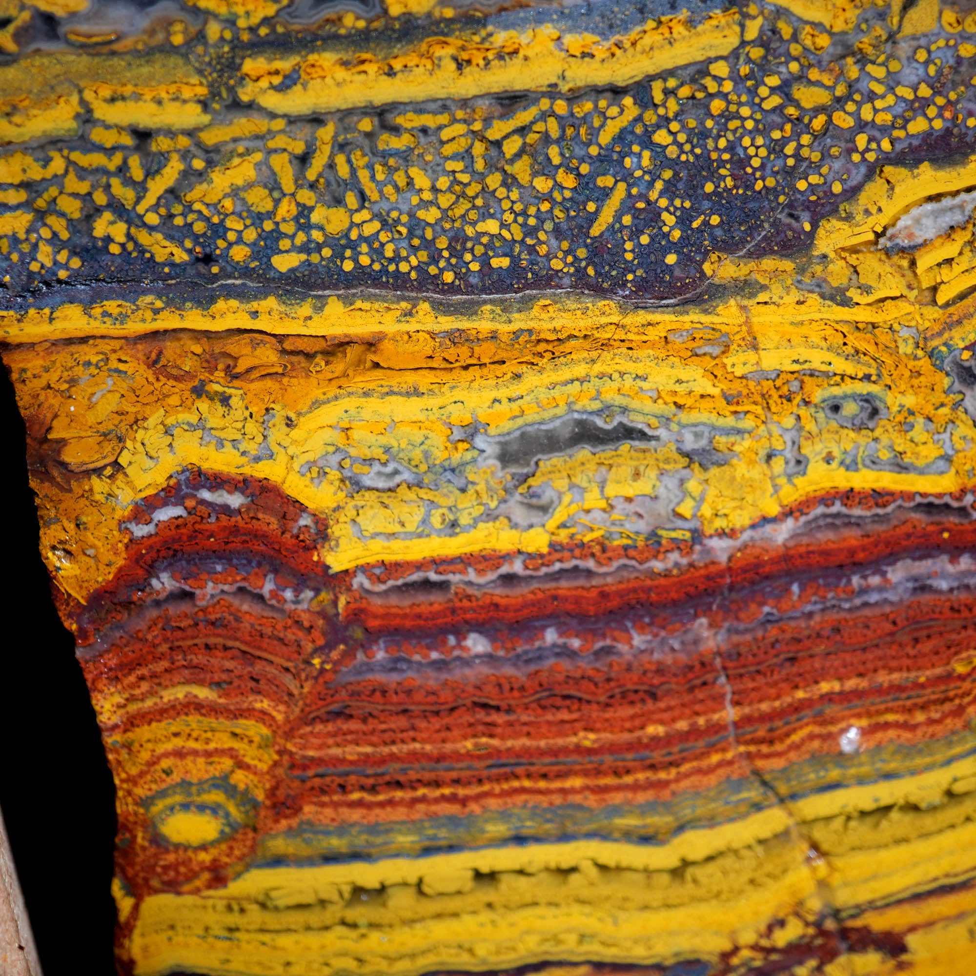 Mixed Cut and Proven Rough - Jasper Agate Obsidian Pattern Display #F378-Photo1