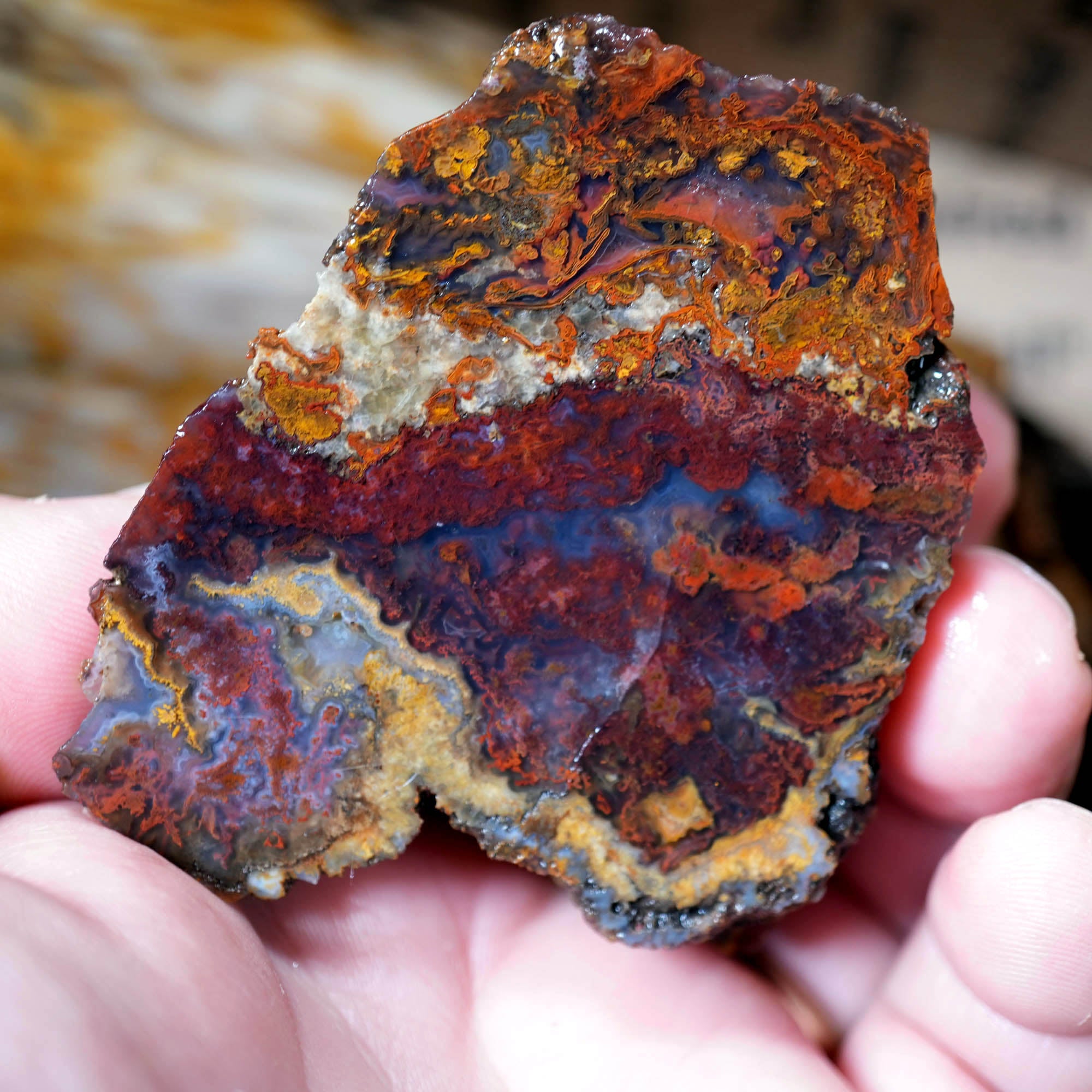 Mixed Cut and Proven Rough - Jasper Agate Obsidian Pattern Display #F378-Photo2
