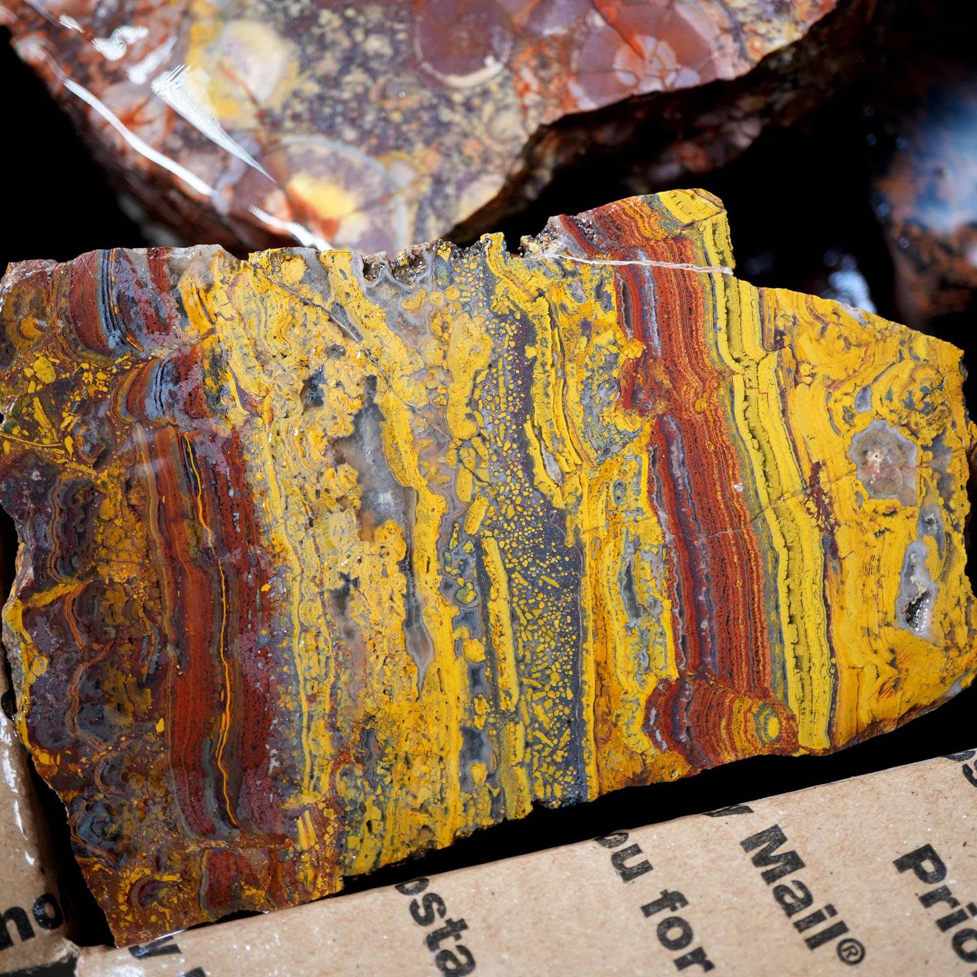 Mixed Cut and Proven Rough - Jasper Agate Obsidian Pattern Display #F378-Photo7