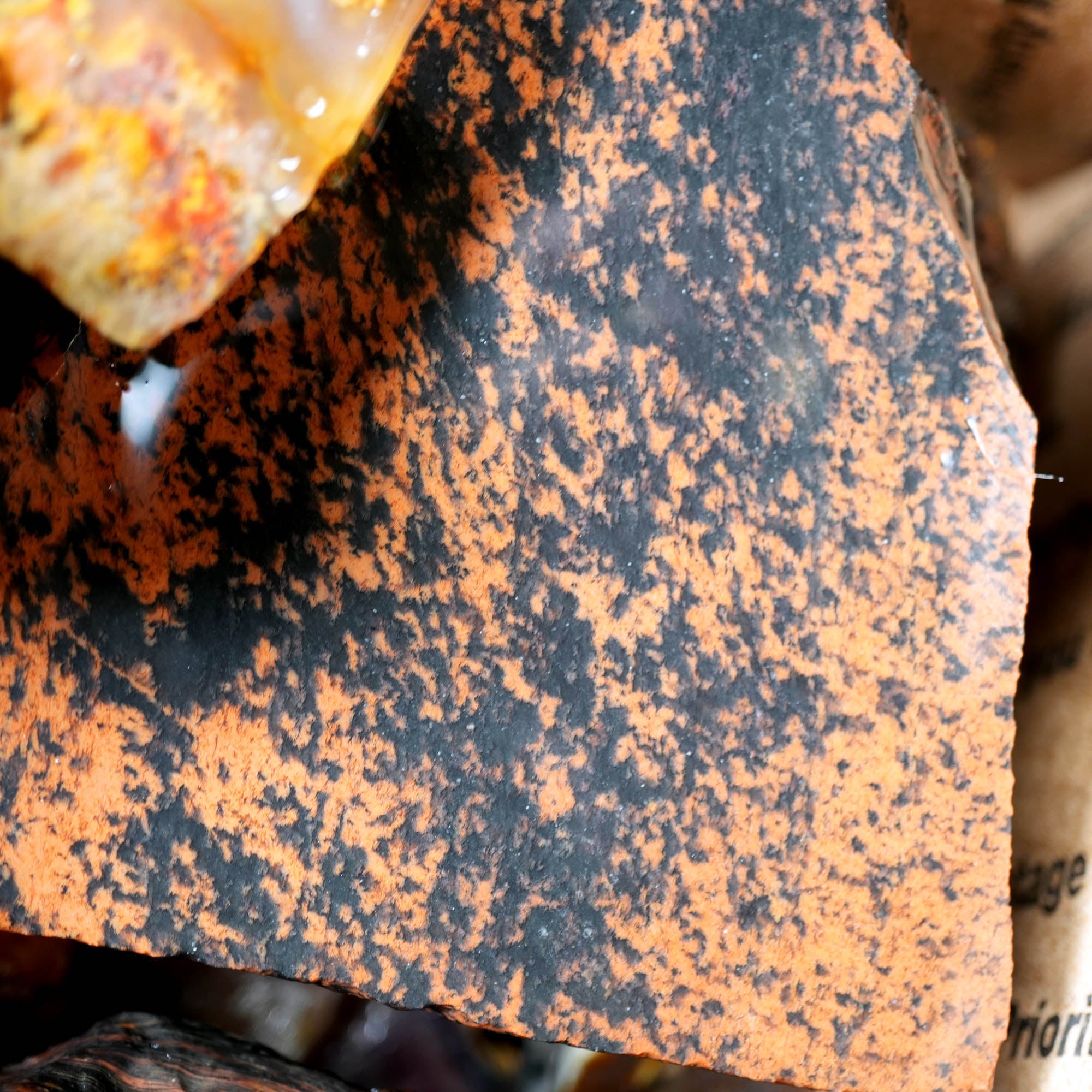 Mixed Cut and Proven Rough - Jasper Agate Obsidian Pattern Display #F378-Photo6