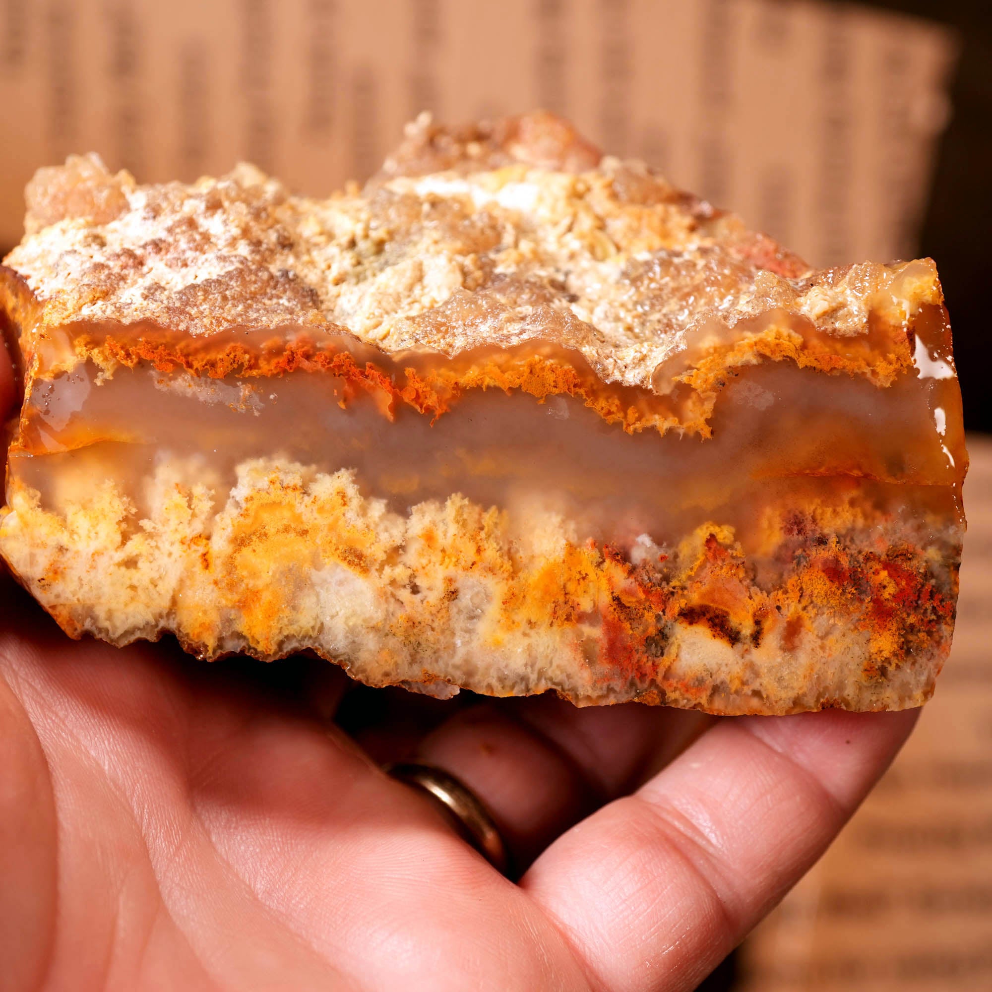 Mixed Cut and Proven Rough - Jasper Agate Obsidian Pattern Display #F378-Photo5