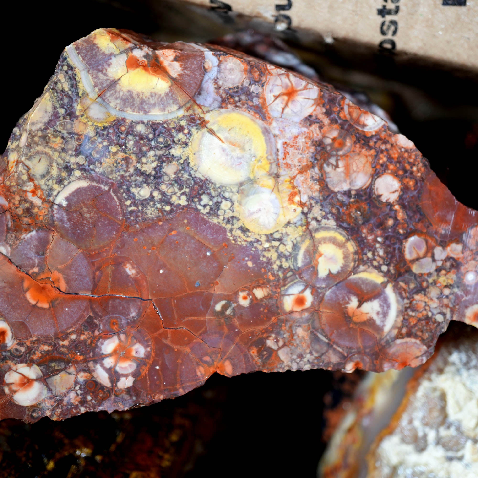Mixed Cut and Proven Rough - Jasper Agate Obsidian Pattern Display #F378-Photo4