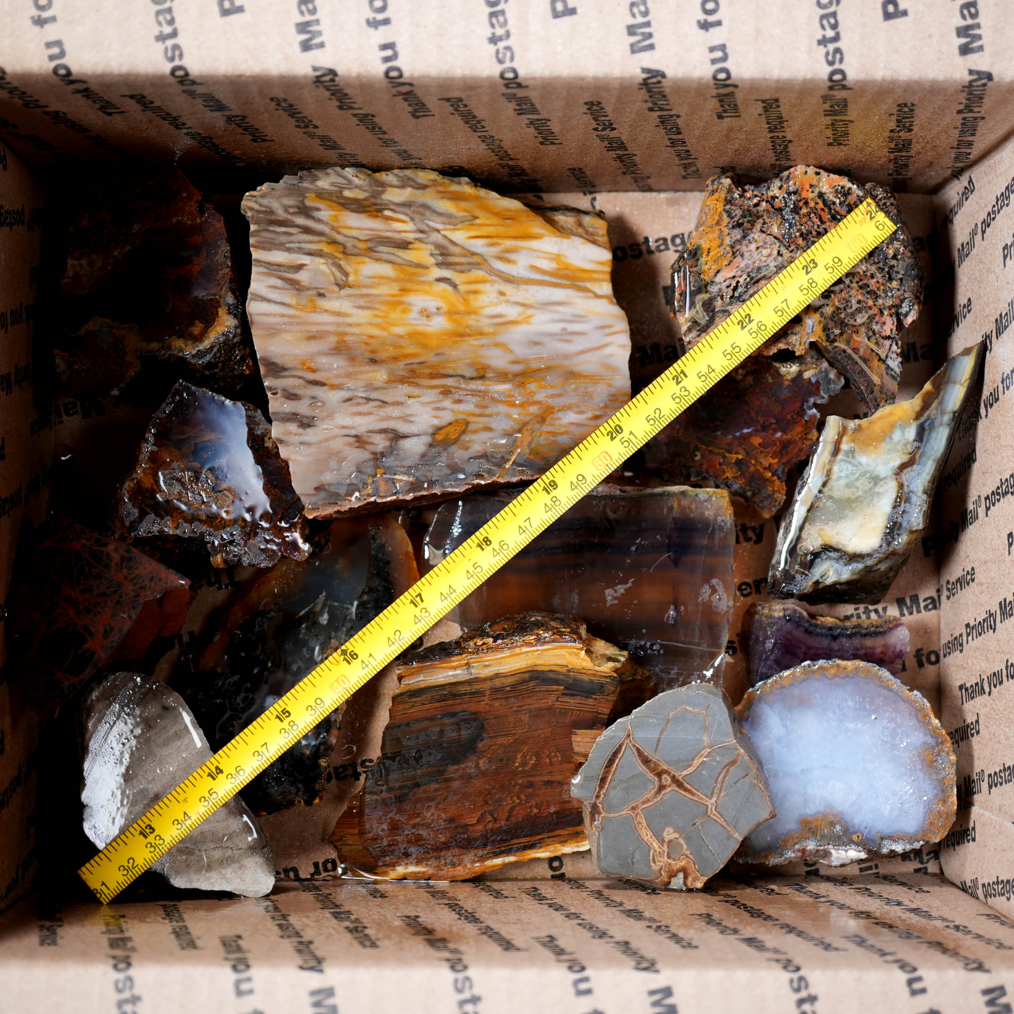 Mixed Cut and Proven Rough - Jasper Agate Obsidian Pattern Display #F378-Photo3