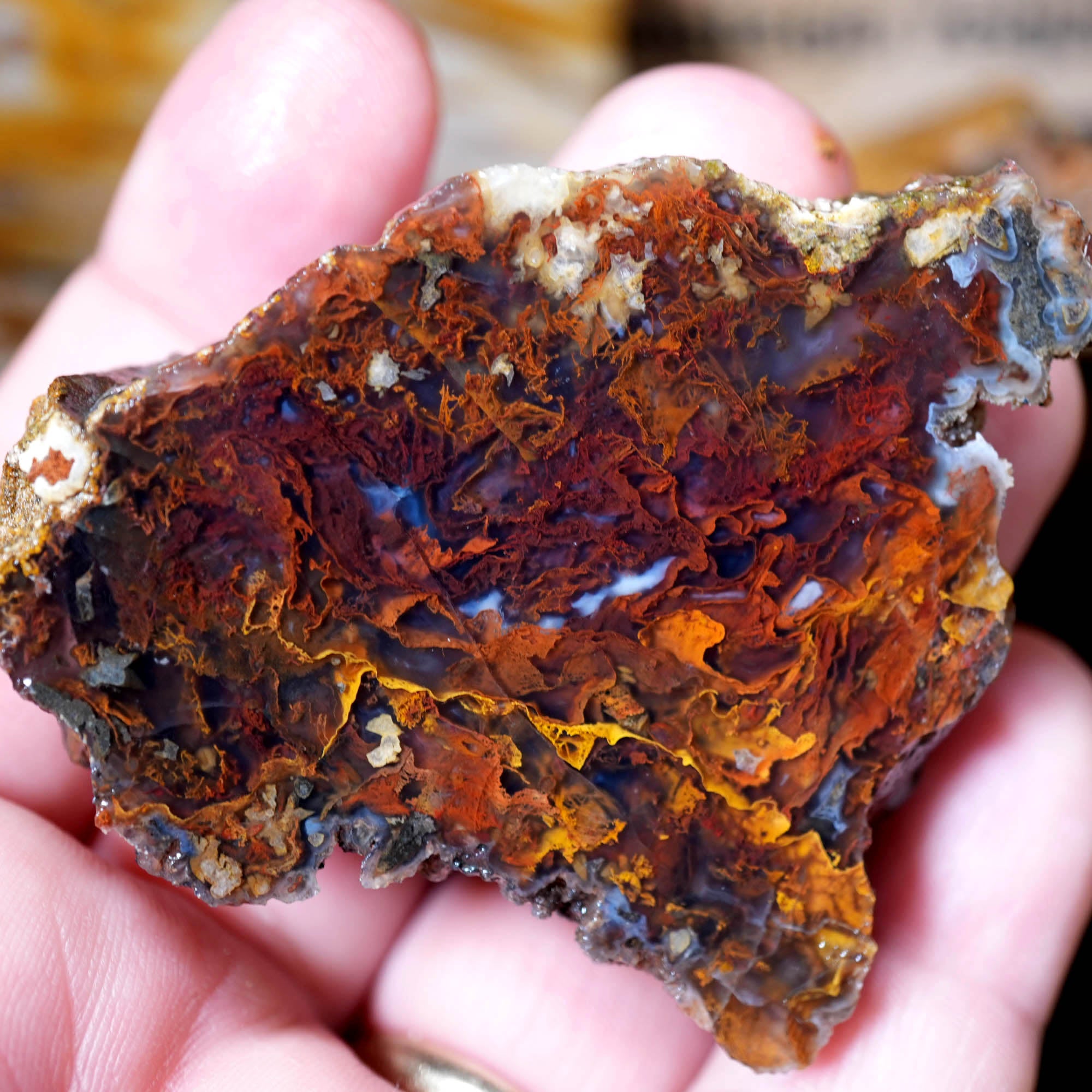 Mixed Cut and Proven Rough - Jasper Agate Obsidian Pattern Display #F378-Photo10