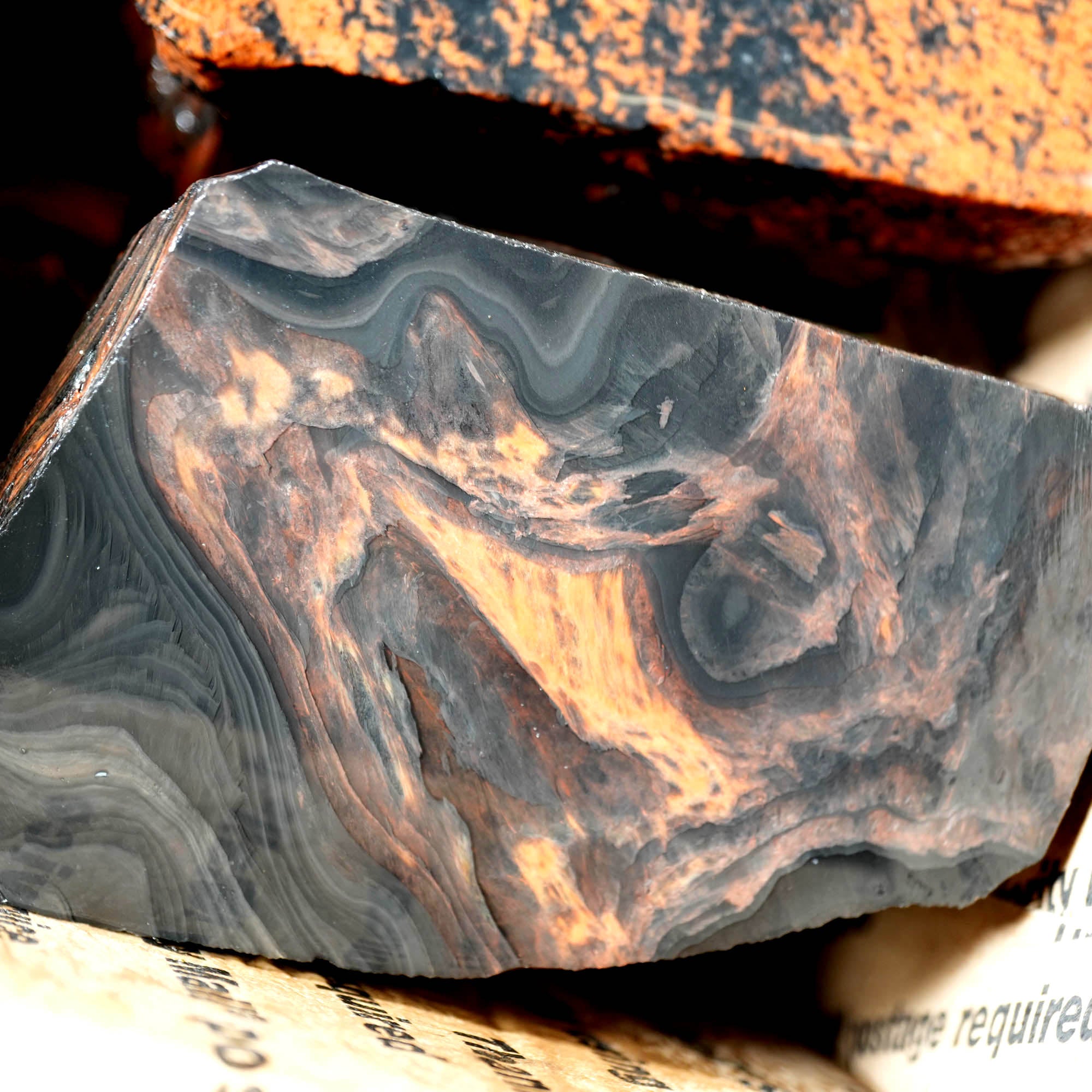 Mixed Cut and Proven Rough - Jasper Agate Obsidian Pattern Display #F378-Photo16