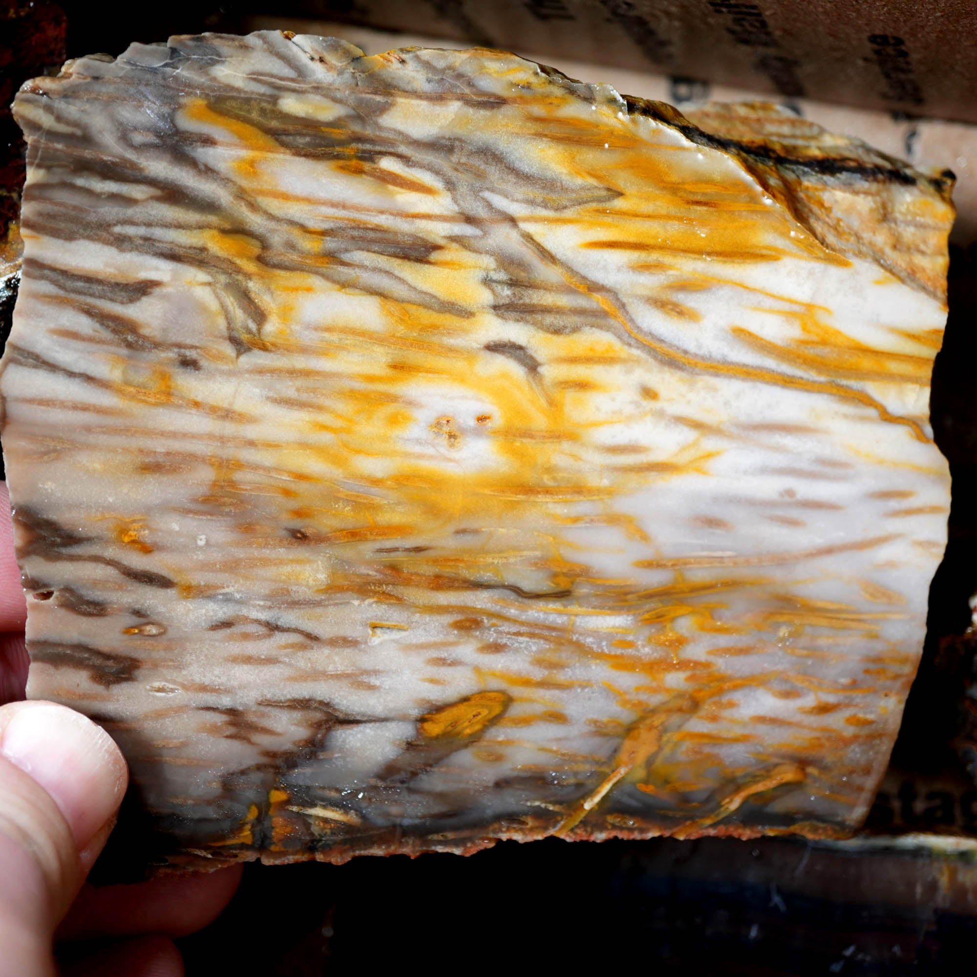 Mixed Cut and Proven Rough - Jasper Agate Obsidian Pattern Display #F378-Photo15