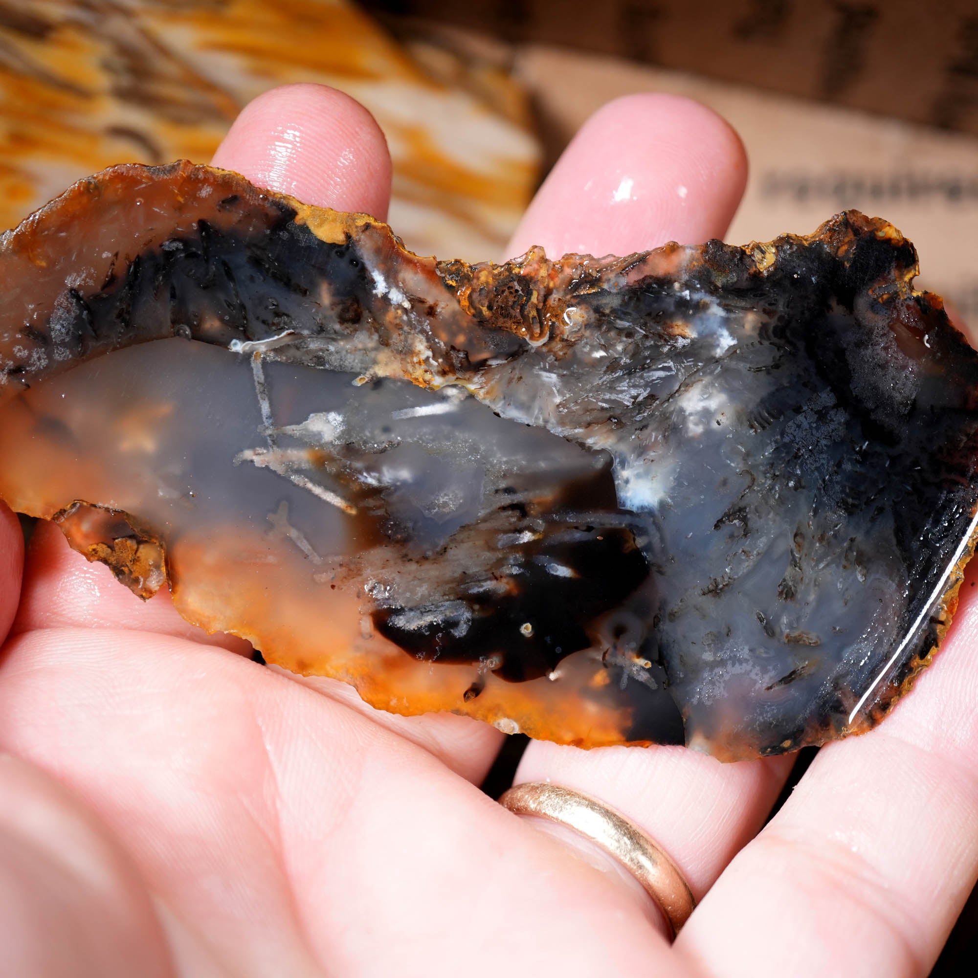 Mixed Cut and Proven Rough - Jasper Agate Obsidian Pattern Display #F378-Photo12