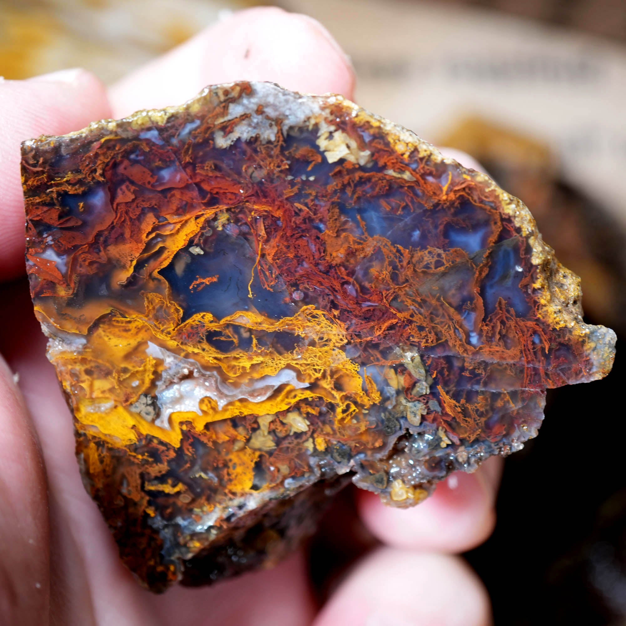 Mixed Cut and Proven Rough - Jasper Agate Obsidian Pattern Display #F378-Photo11