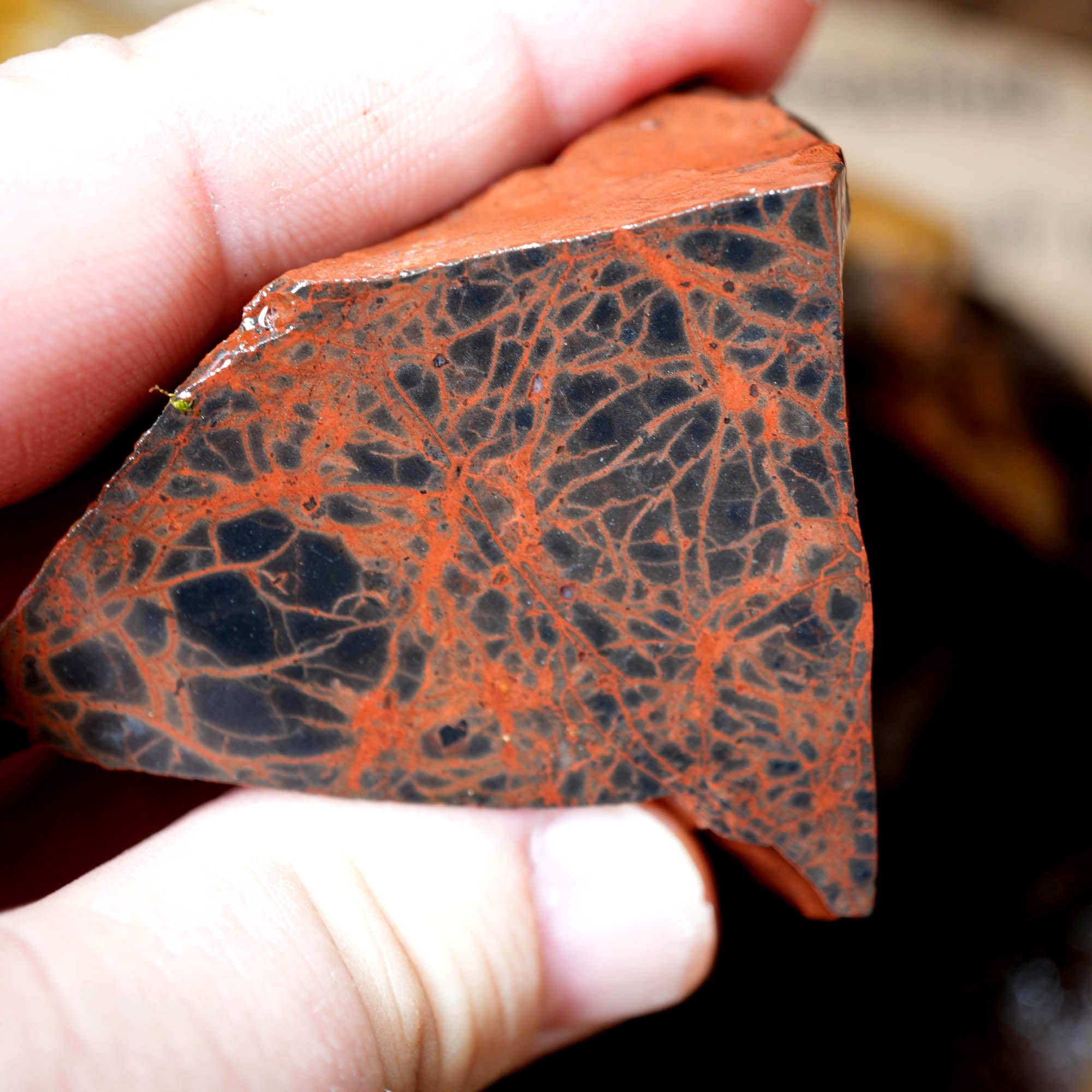 Mixed Cut and Proven Rough - Jasper Agate Obsidian Pattern Display #F378-Photo9