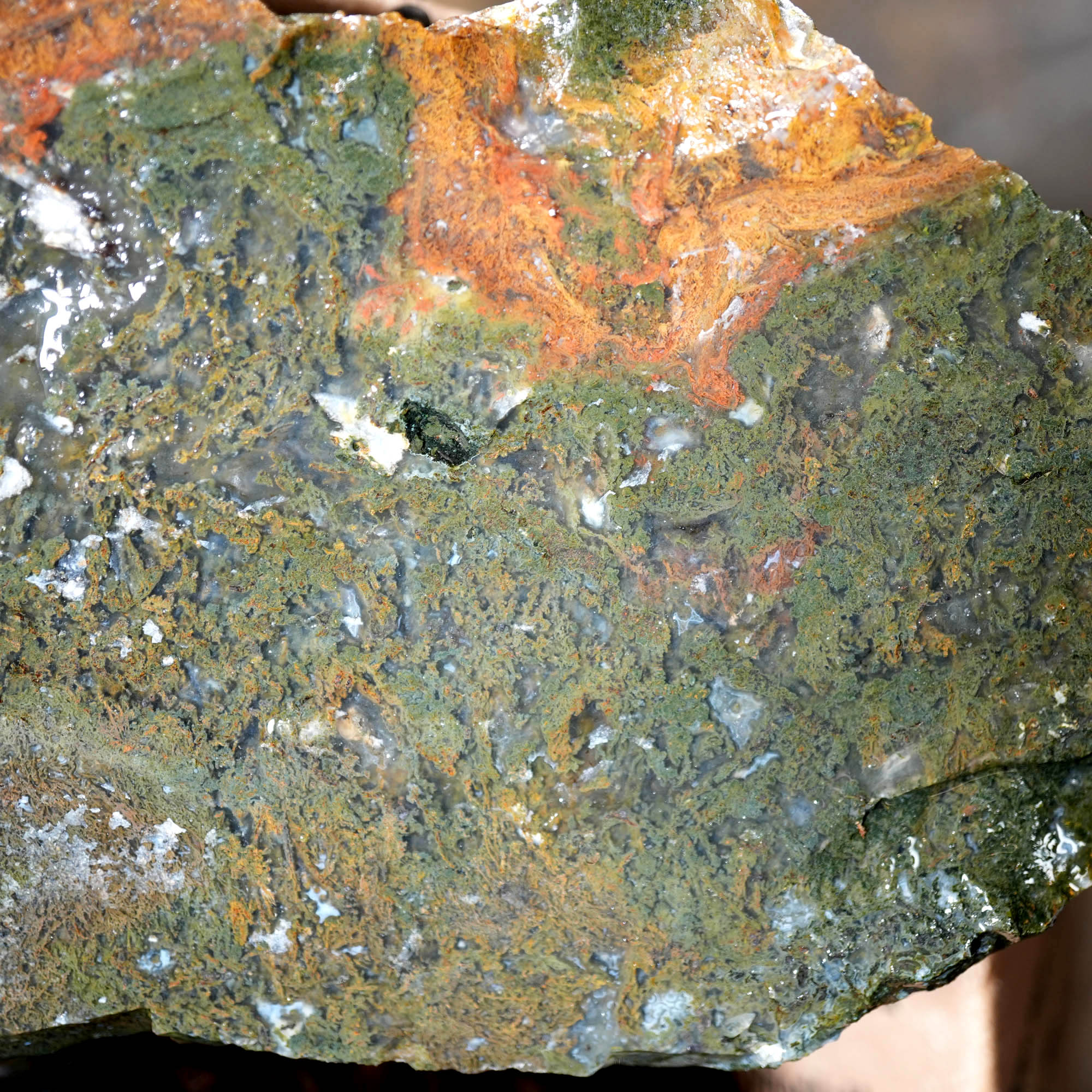 Maury Mountain Moss Agate Duo - Classic Green Moss Cutters #F379-Photo2