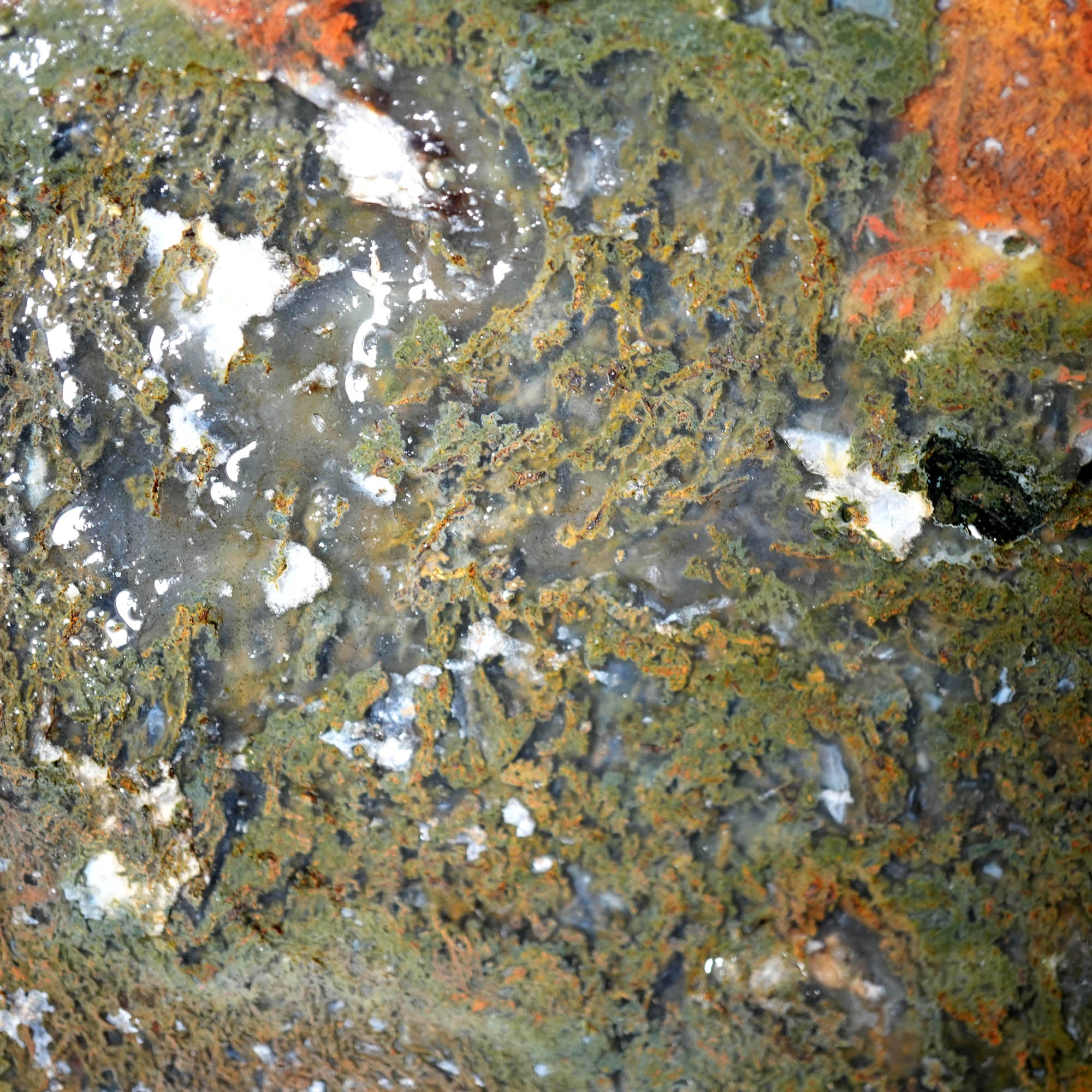 Maury Mountain Moss Agate Duo - Classic Green Moss Cutters #F379-Photo3