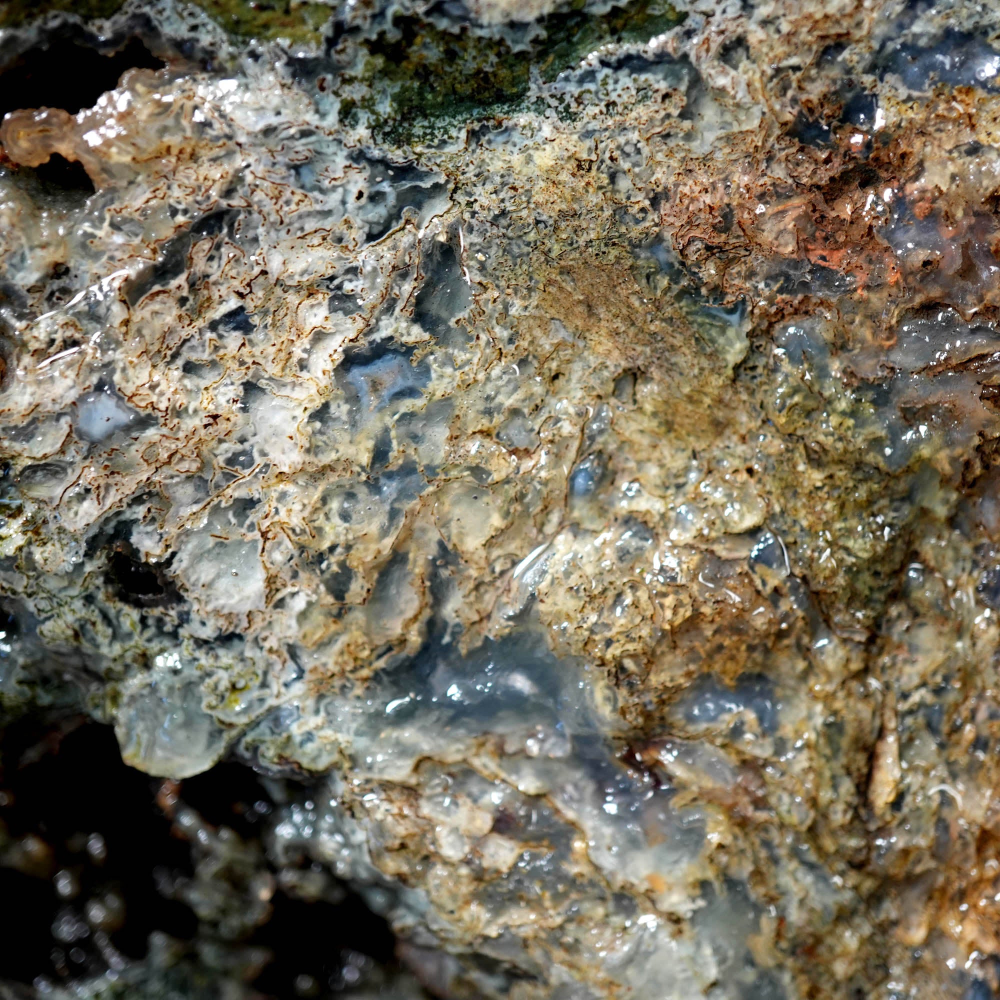 Maury Mountain Moss Agate Duo - Classic Green Moss Cutters #F379-Photo6