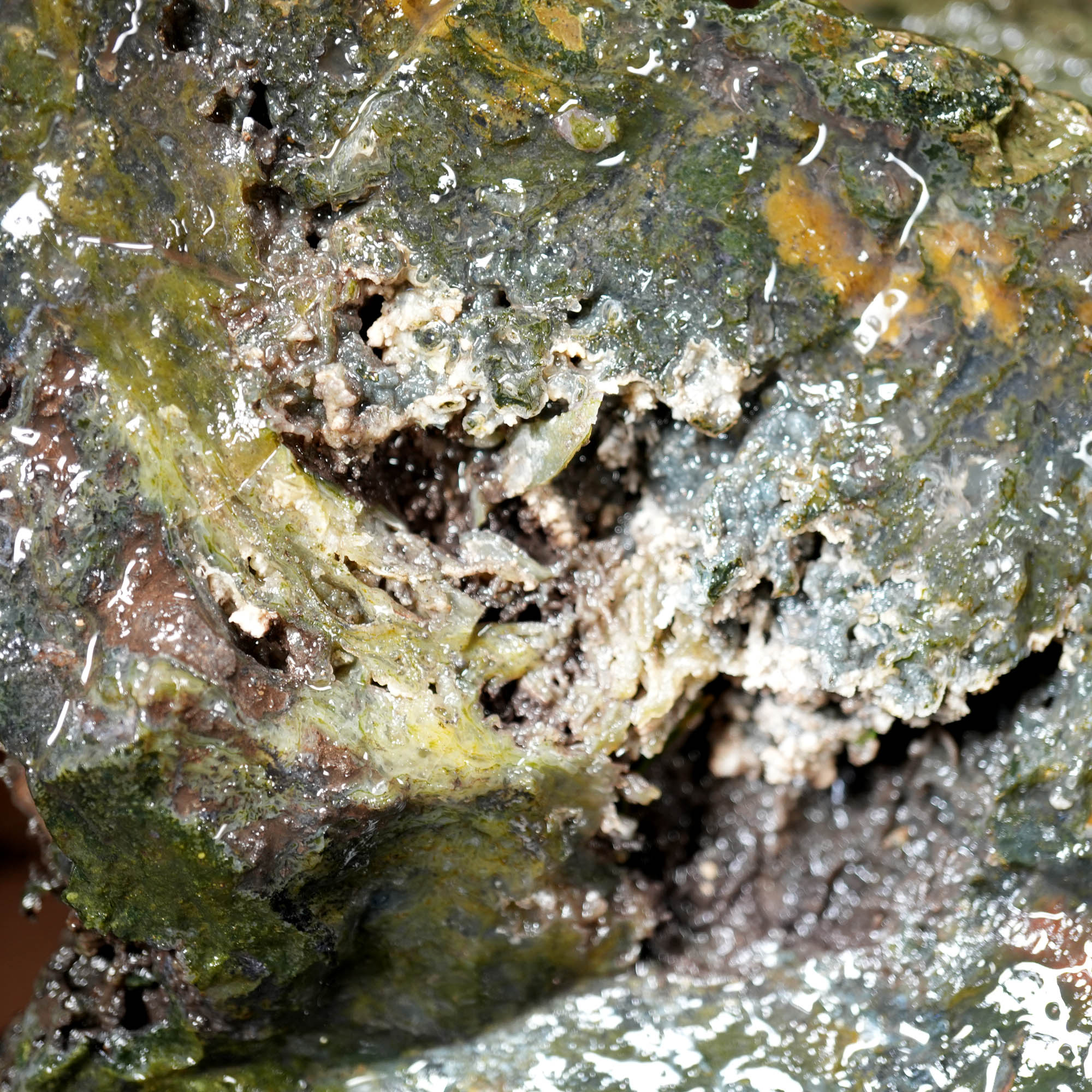 Maury Mountain Moss Agate Duo - Classic Green Moss Cutters #F379-Photo7