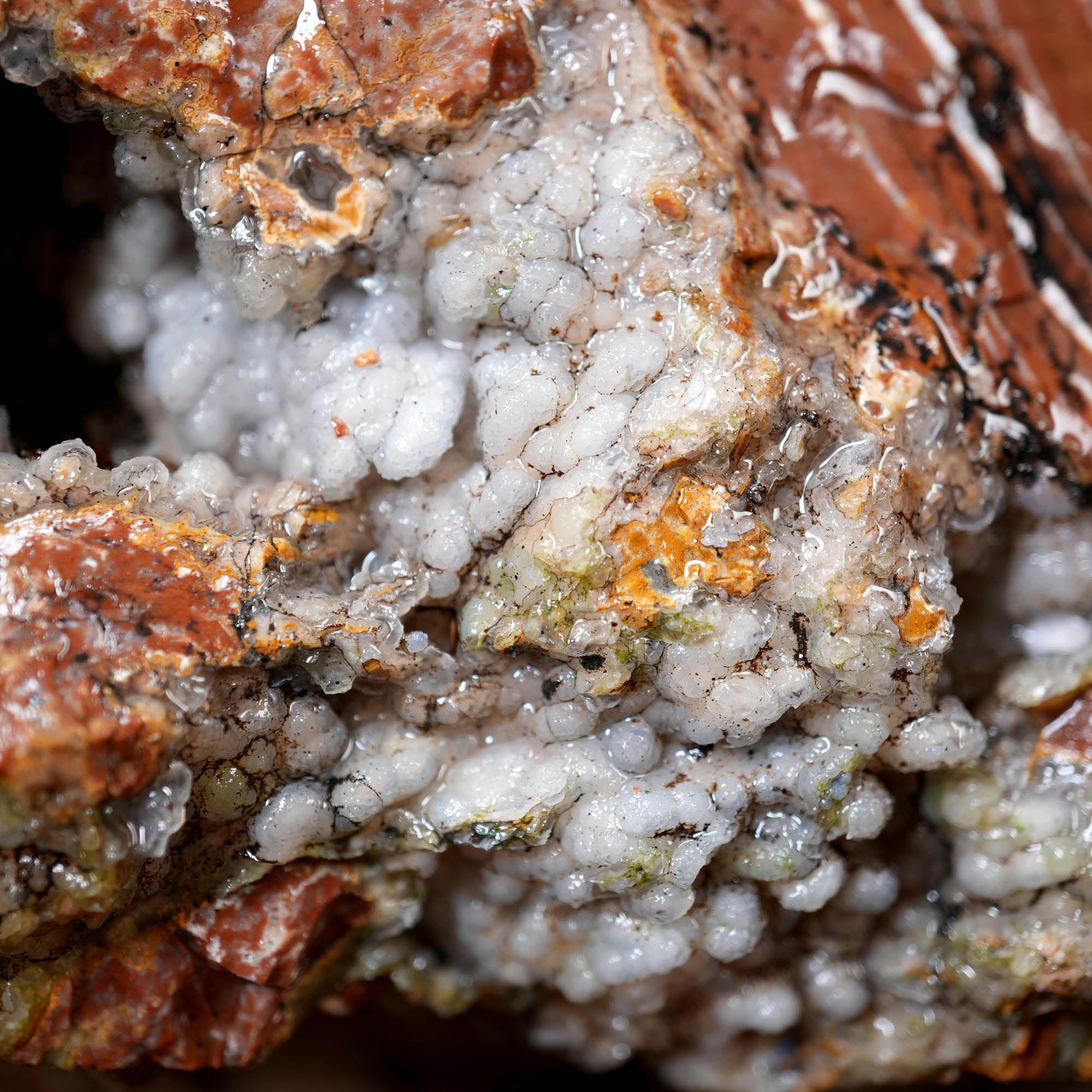 Eagle Rock Plume Agate Large Cutter Rough - Red Rhyolite Brecciation