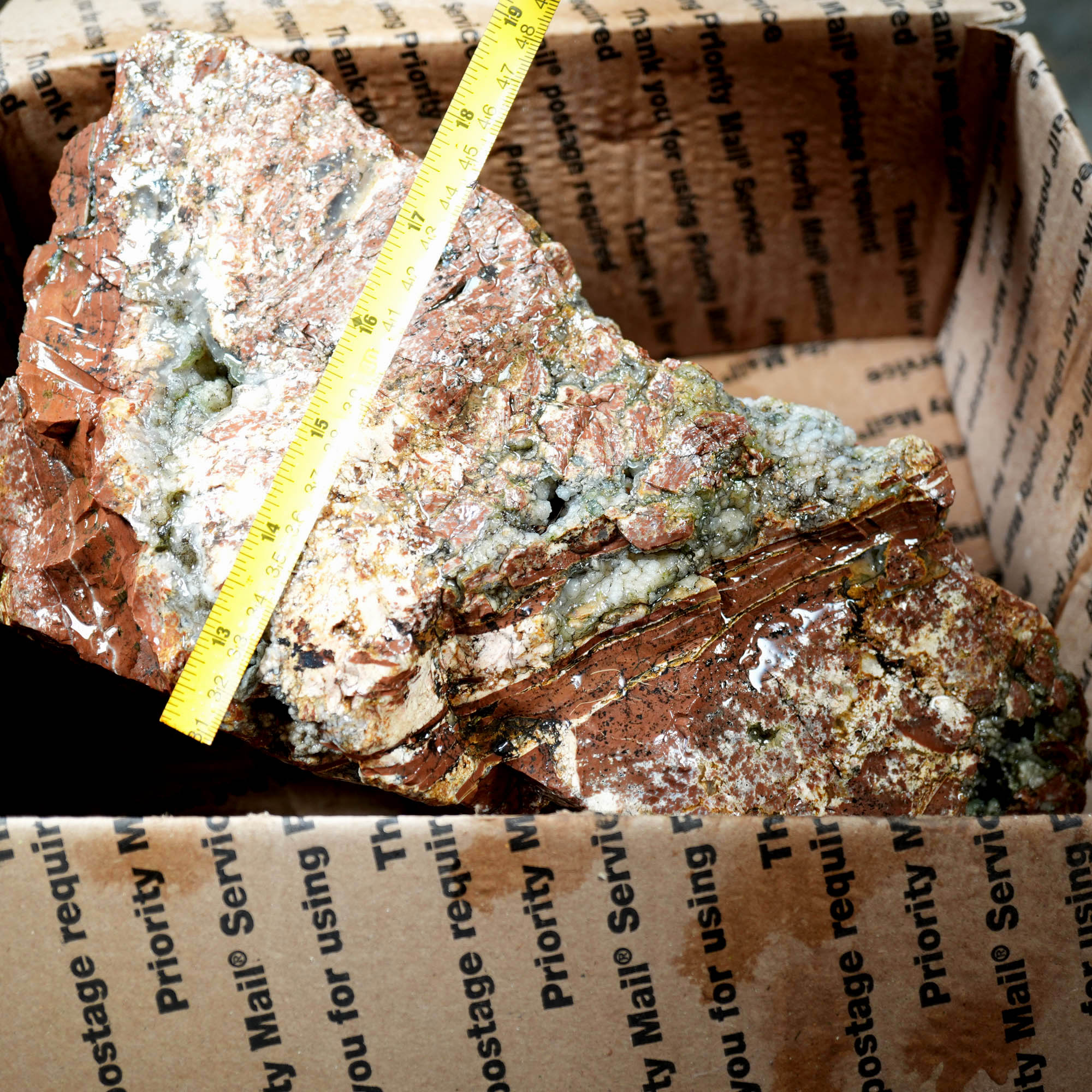 Eagle Rock Plume Agate Large Cutter Rough - Red Rhyolite Brecciation