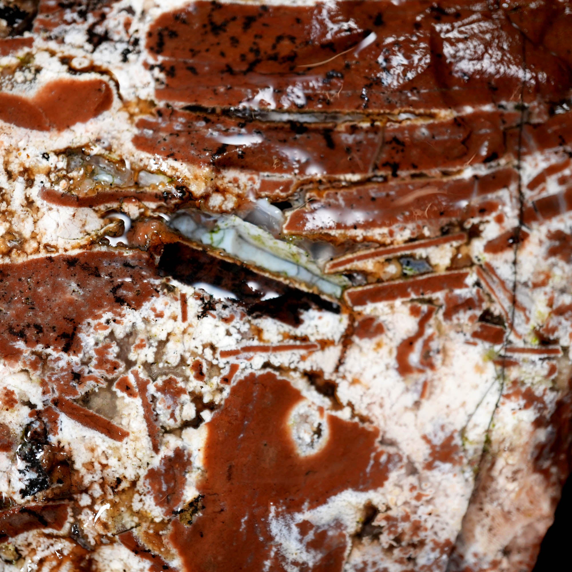 Eagle Rock Plume Agate Large Cutter Rough - Red Rhyolite Brecciation