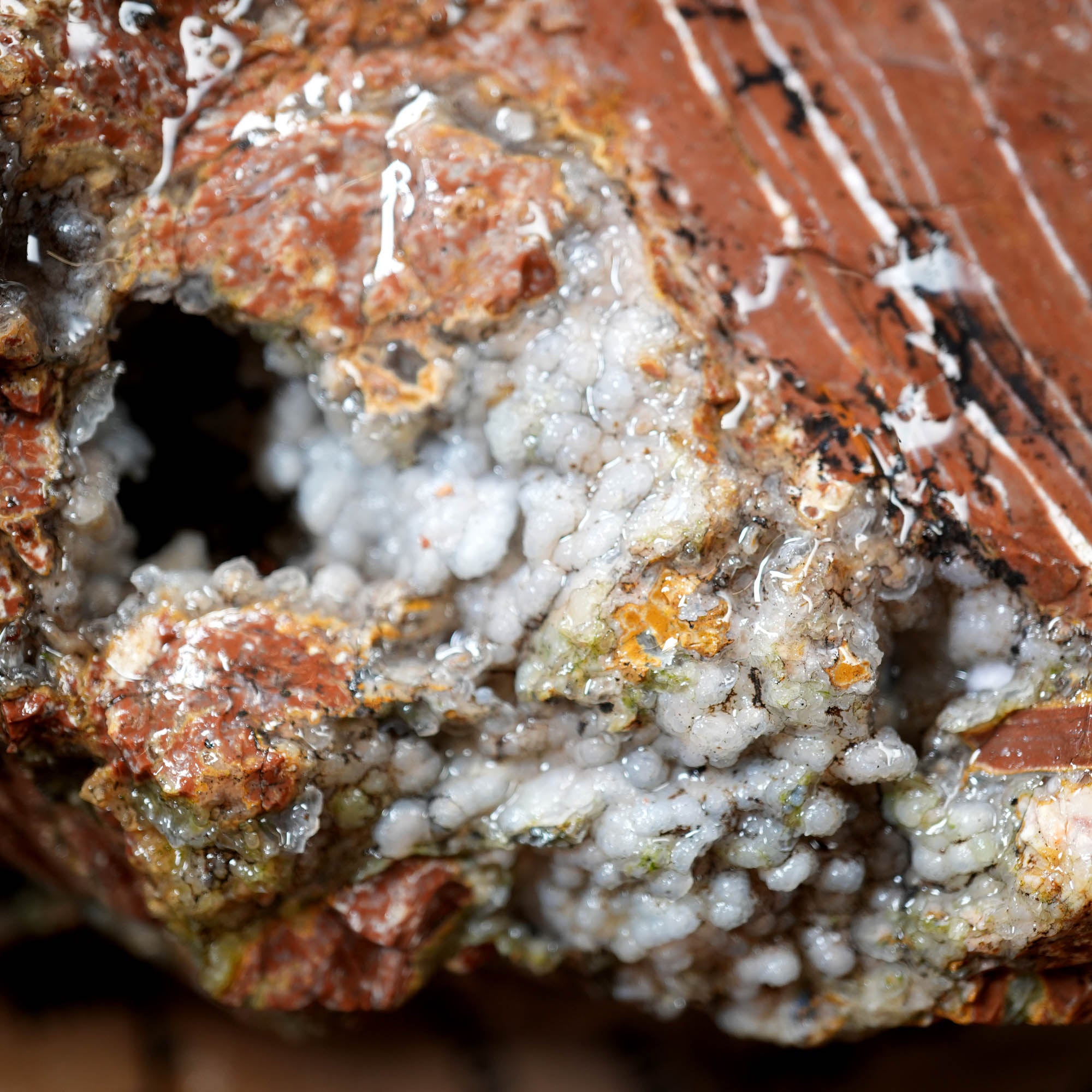 Eagle Rock Plume Agate Large Cutter Rough - Red Rhyolite Brecciation