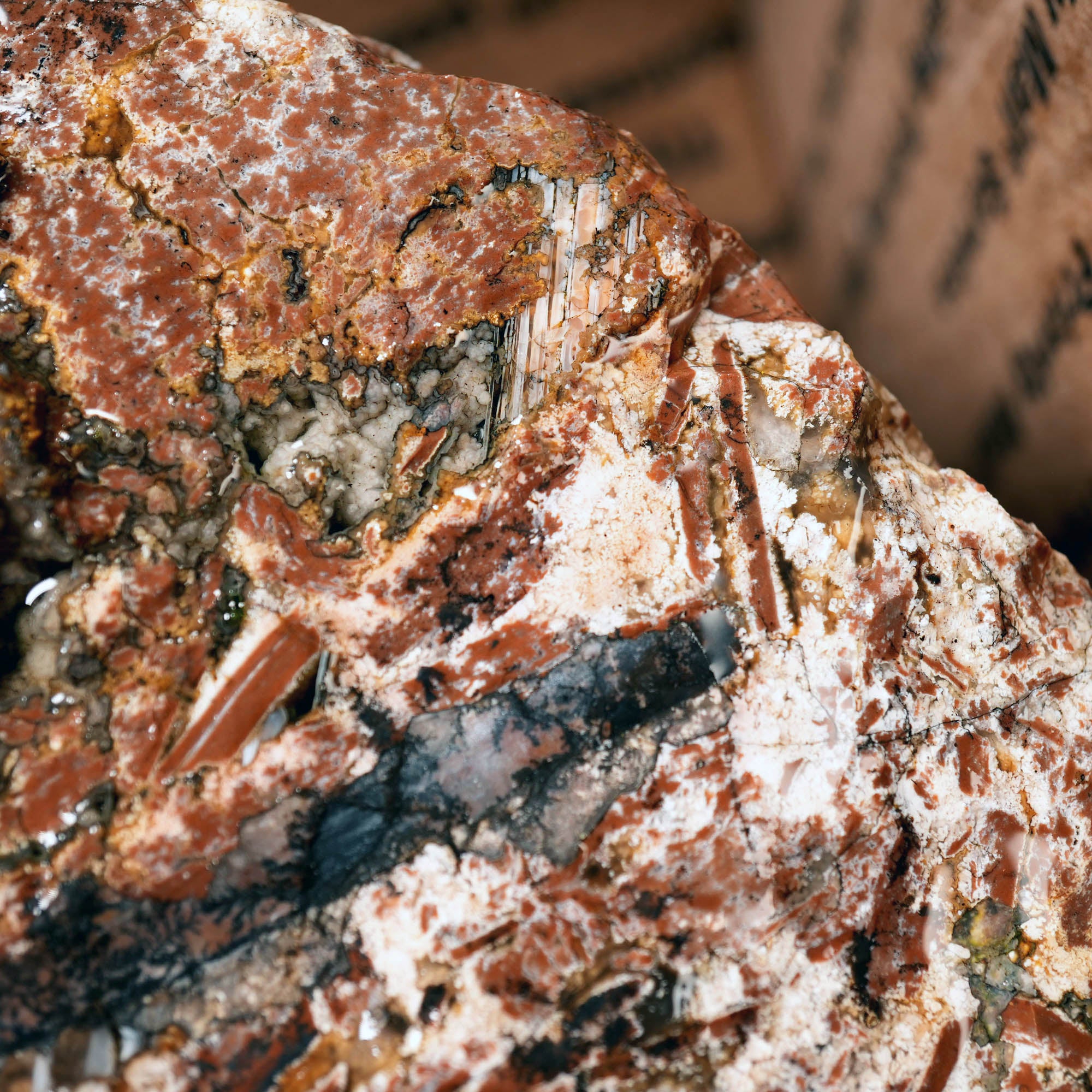 Eagle Rock Plume Agate Large Cutter Rough - Red Rhyolite Brecciation