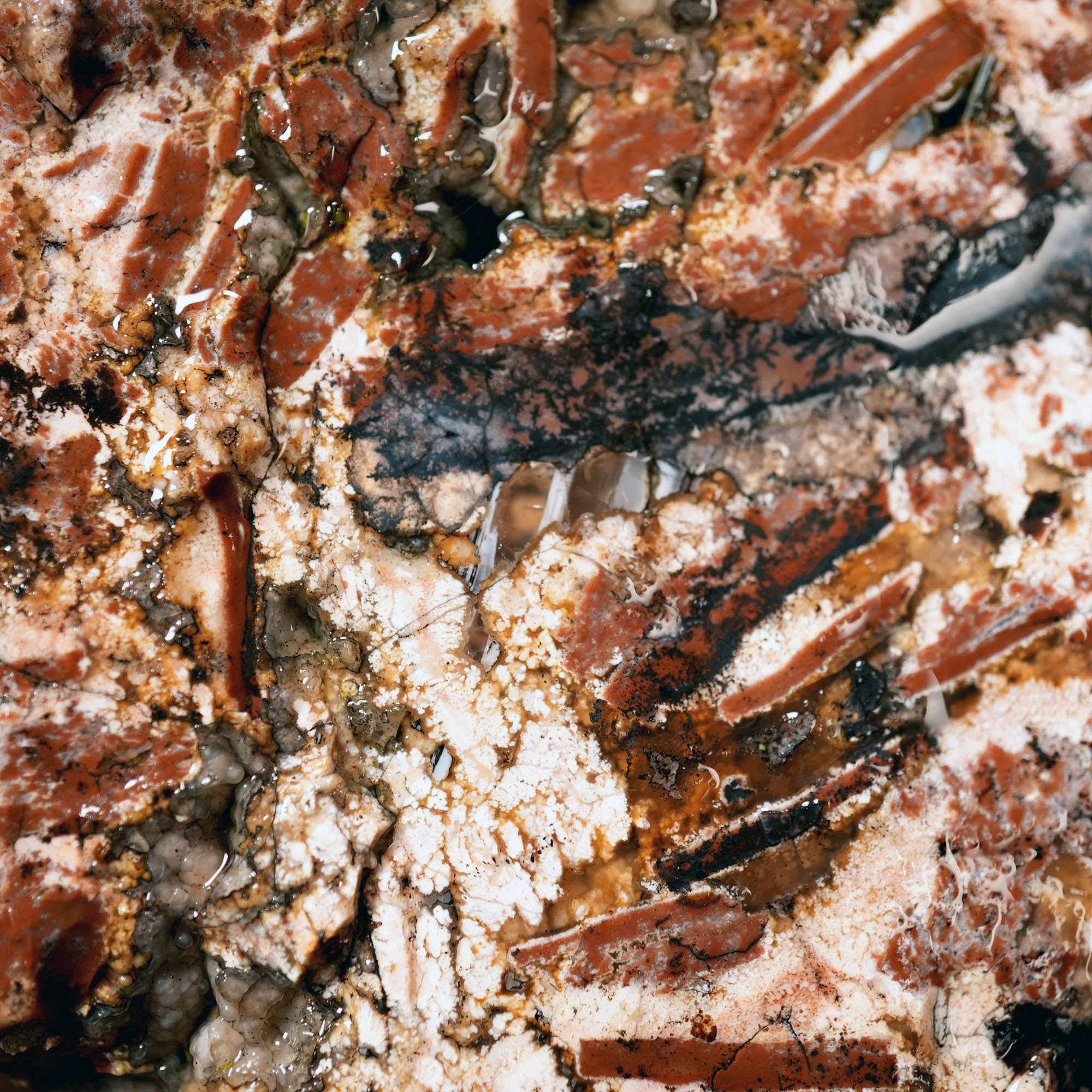 Eagle Rock Plume Agate Large Cutter Rough - Red Rhyolite Brecciation