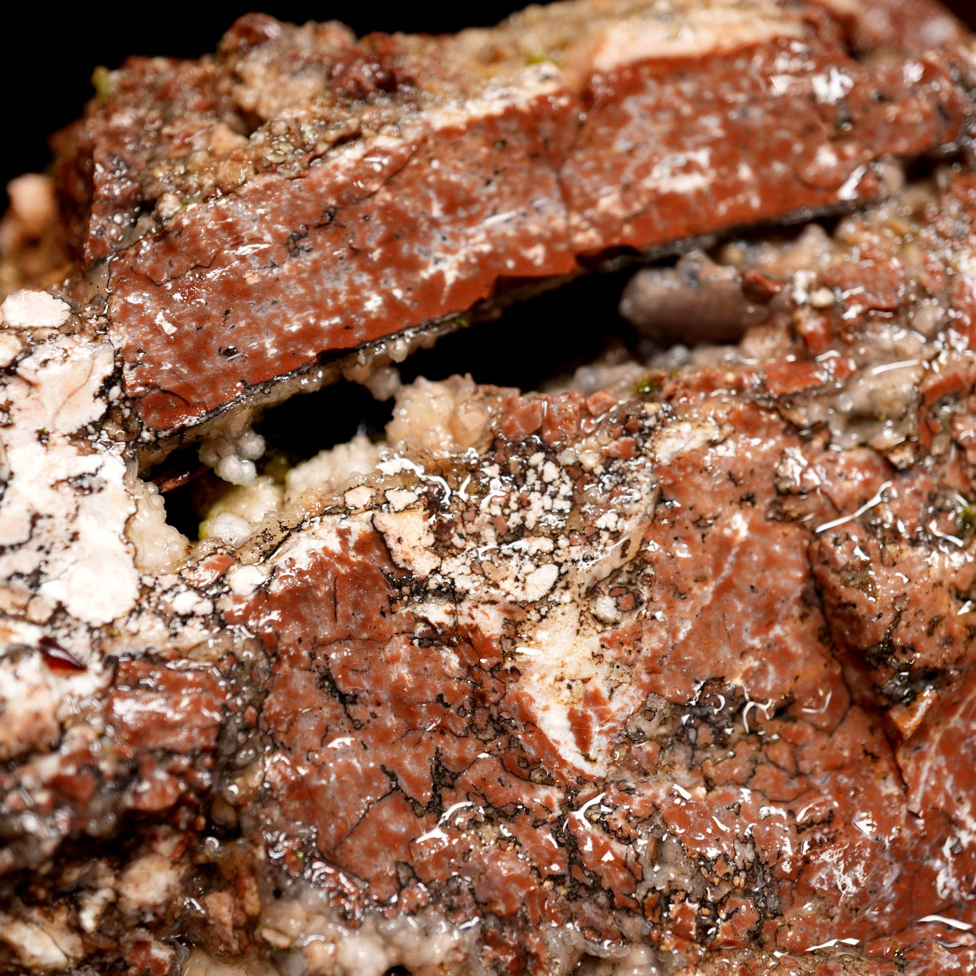 Eagle Rock Plume Agate Large Cutter Rough - Red Rhyolite Brecciation