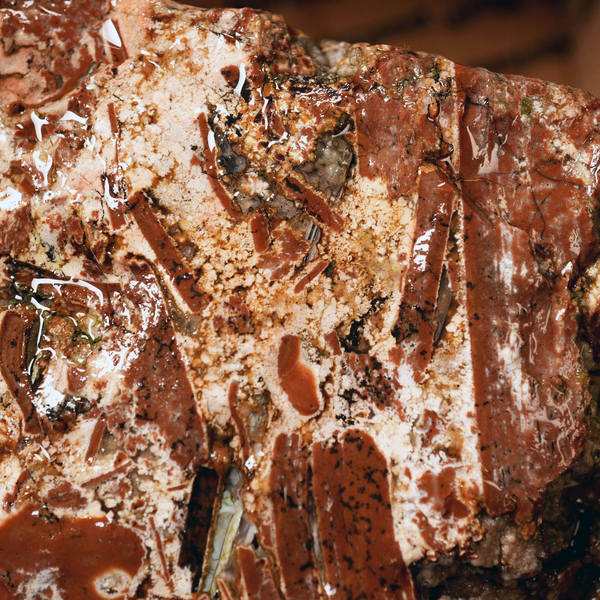 Eagle Rock Plume Agate Large Cutter Rough - Red Rhyolite Brecciation