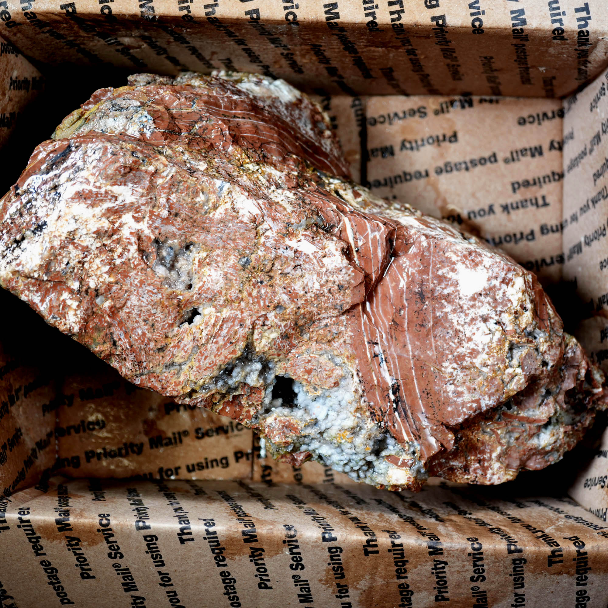 Eagle Rock Plume Agate Large Cutter Rough - Red Rhyolite Brecciation