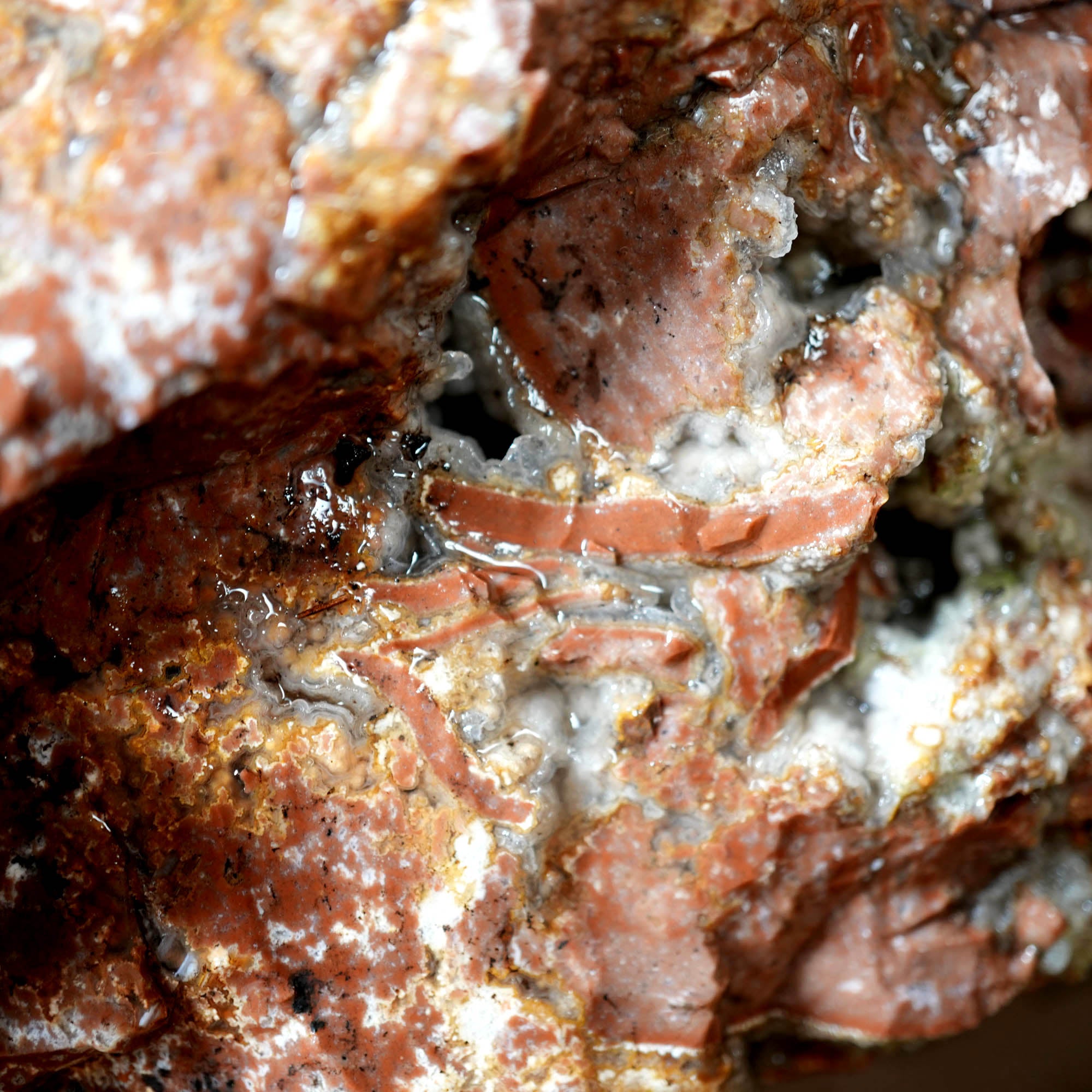 Eagle Rock Plume Agate Large Cutter Rough - Red Rhyolite Brecciation