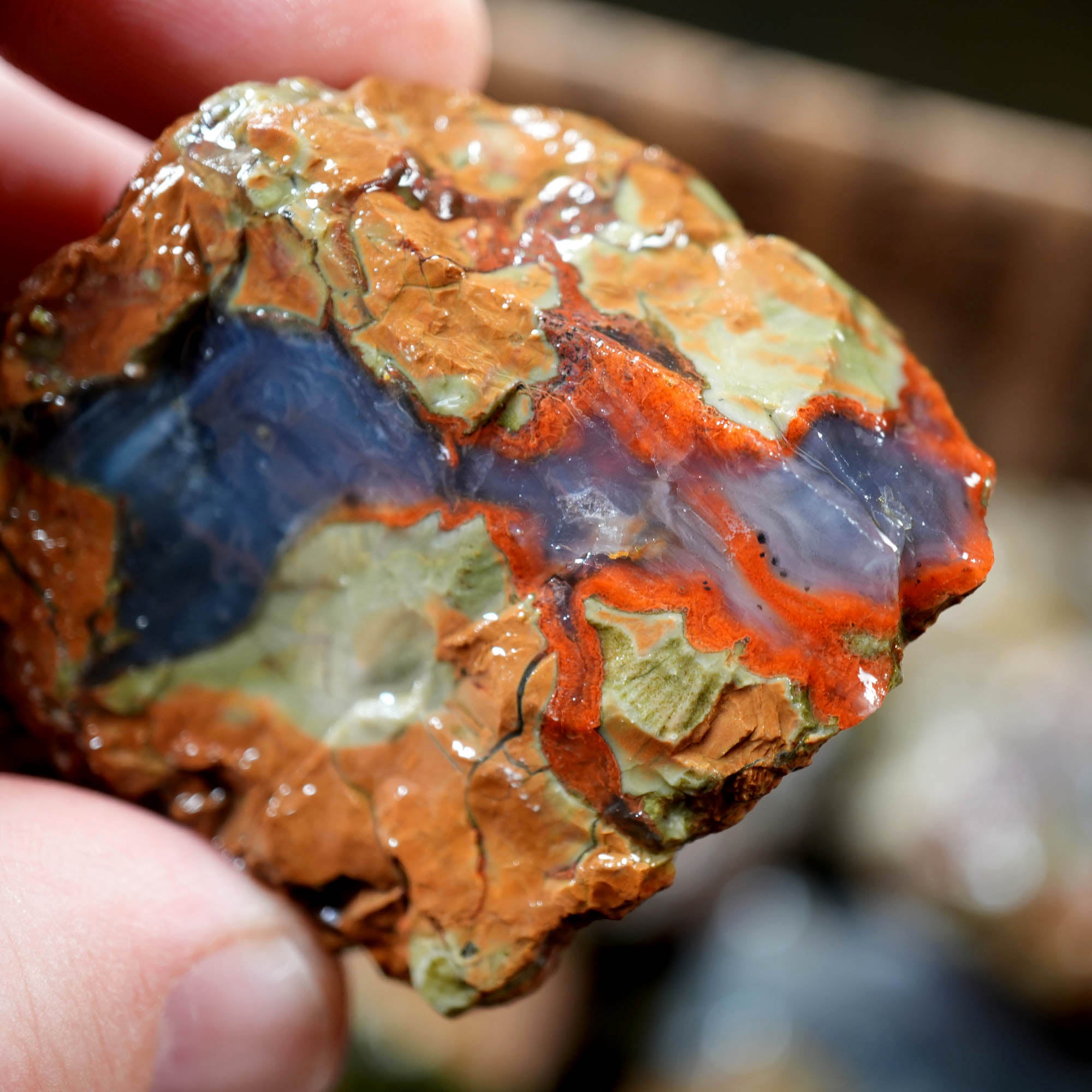 Old Stock Rare Mix Oregon Thunderegg Flatrate - Depleted Varieties
