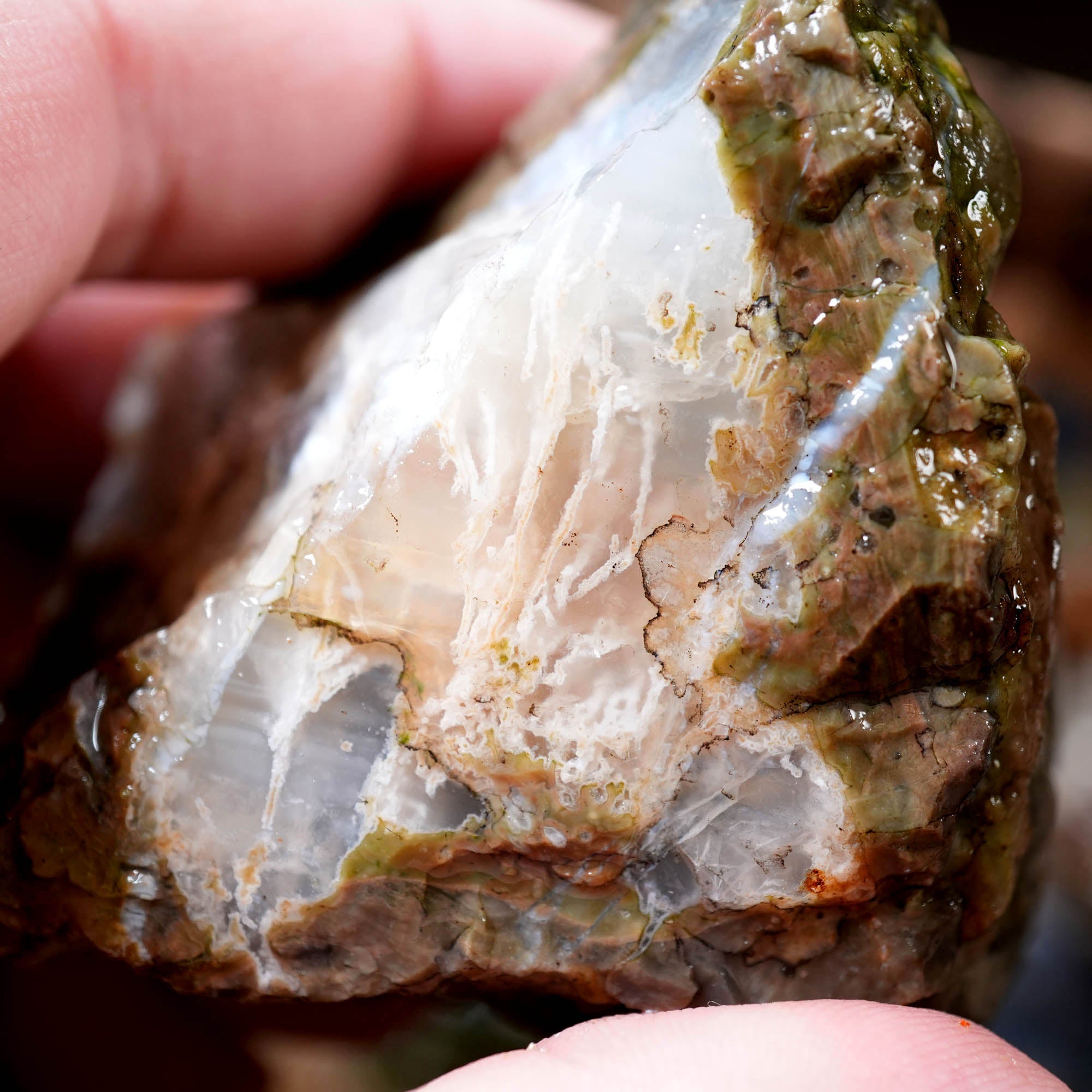 Old Stock Rare Mix Oregon Thunderegg Flatrate - Depleted Varieties
